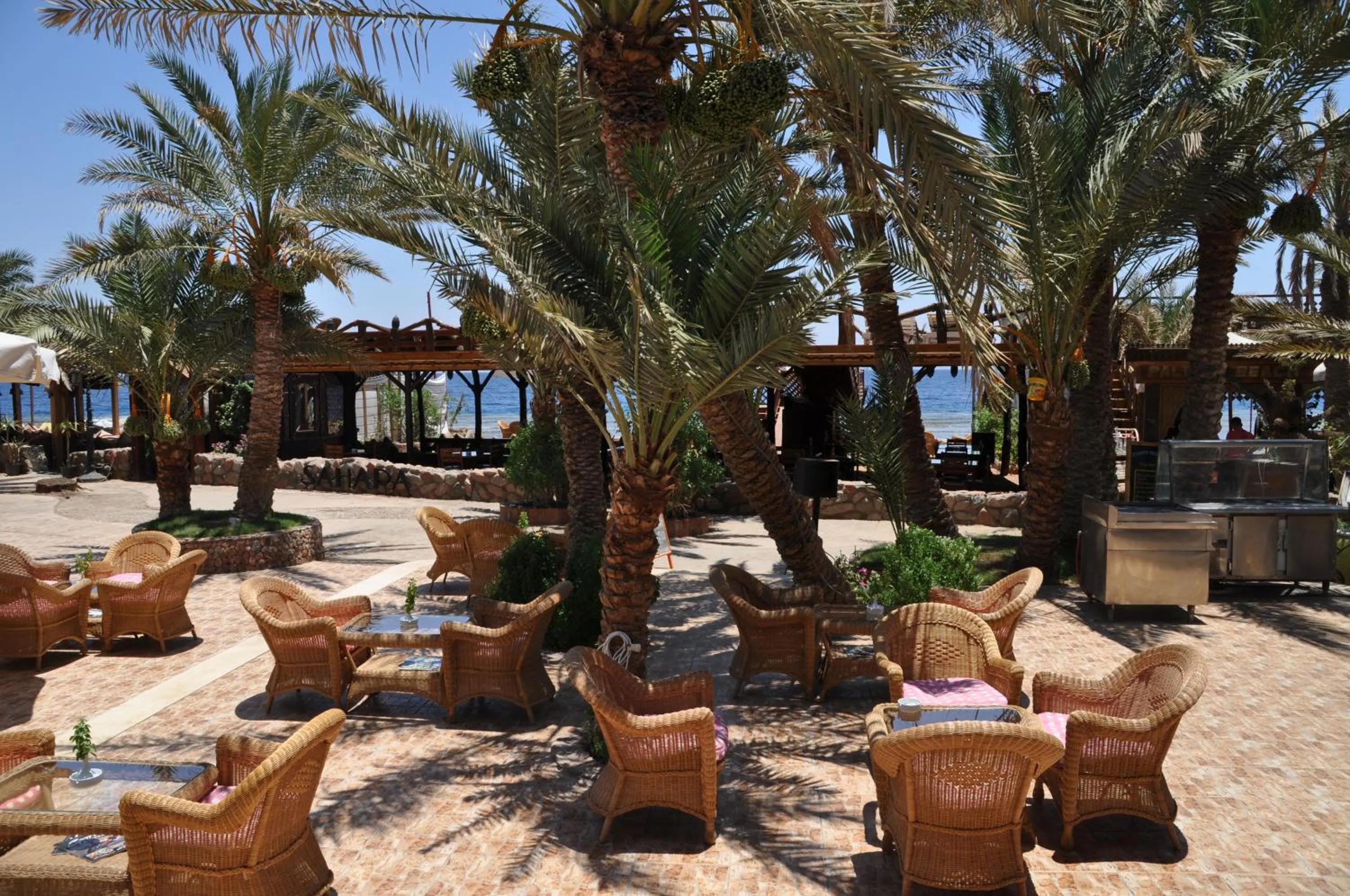 Garden view in Acacia Dahab Hotel