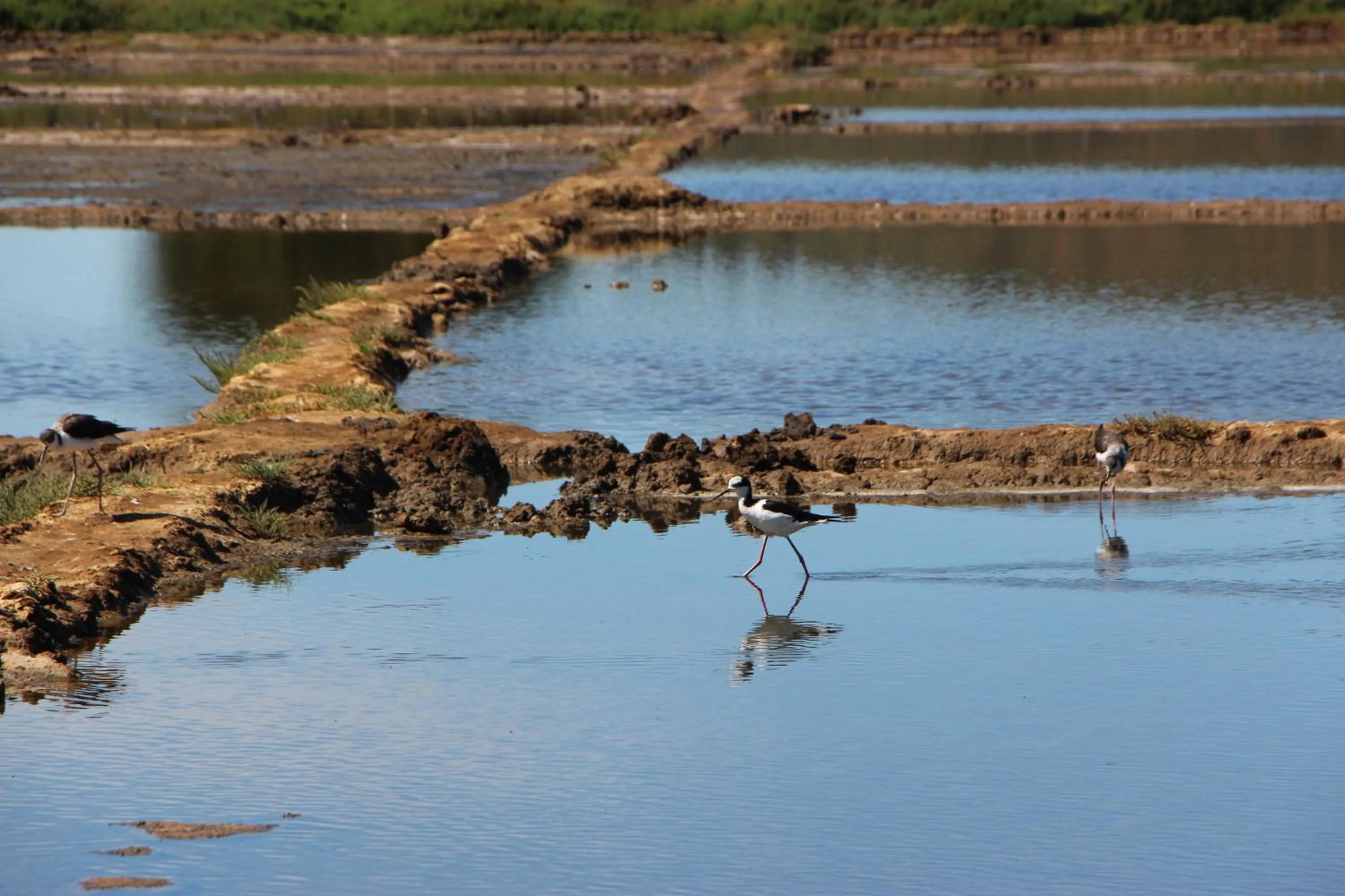 Natural landscape in Cabañas Piedra Grande