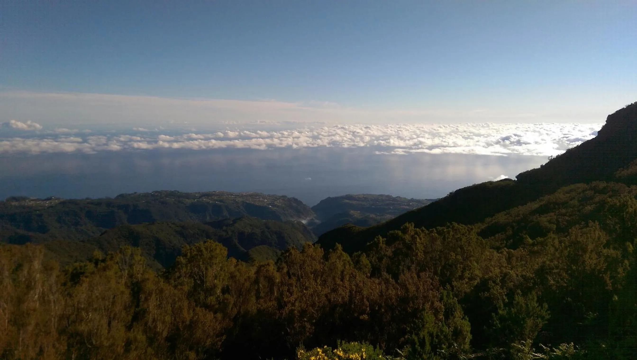 Nearby landmark in Casa do Til