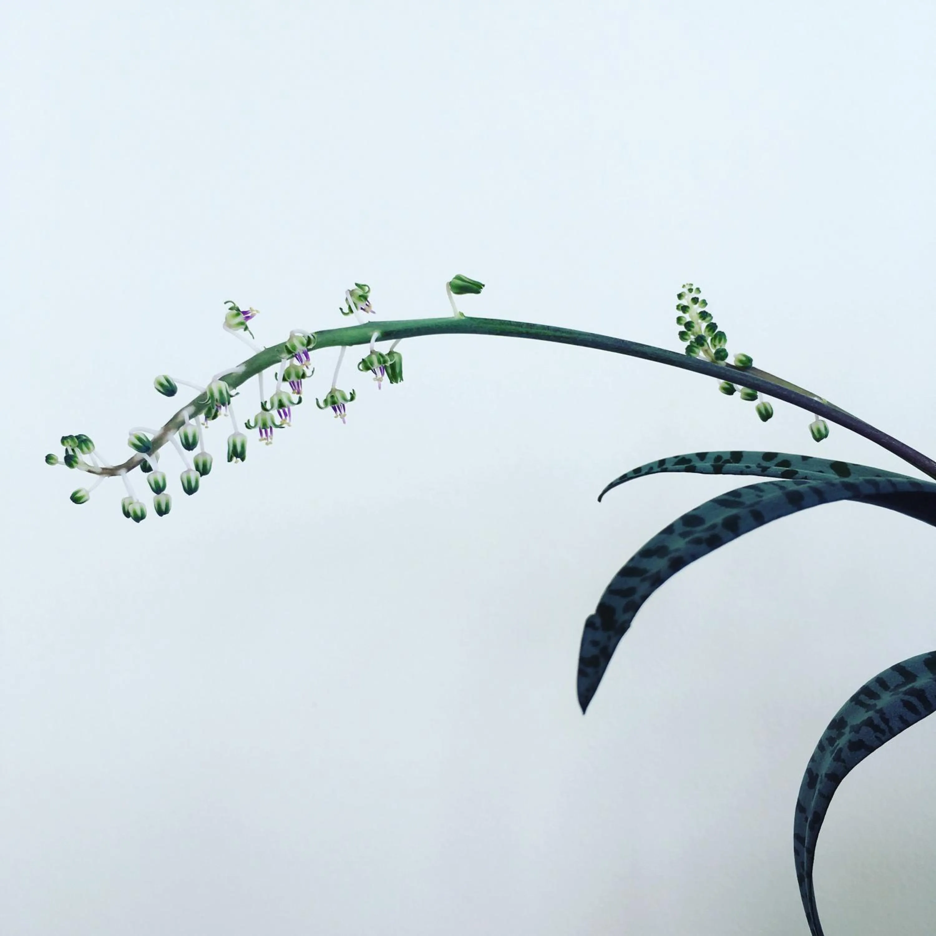 Lobby or reception in Casa do Til