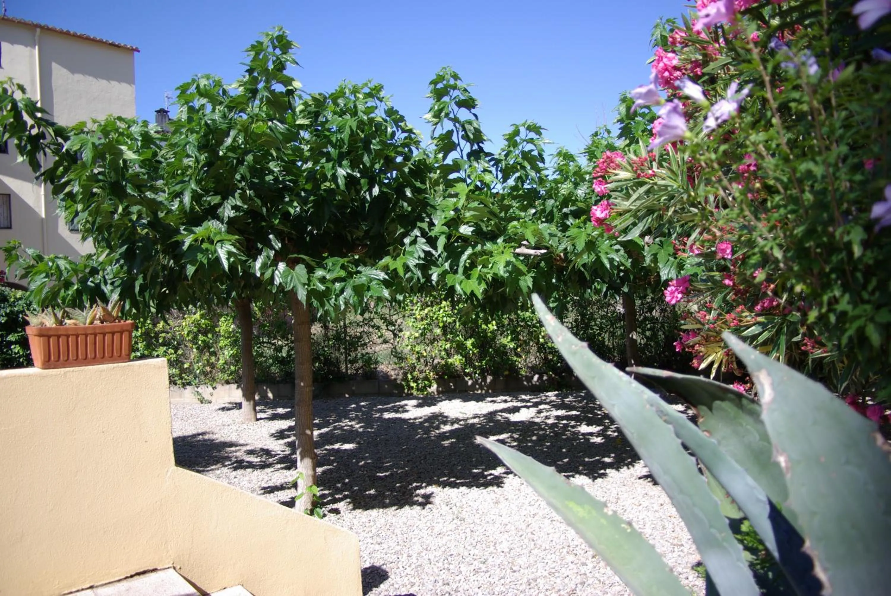 Living room in MAR BLAU L'ESCALA