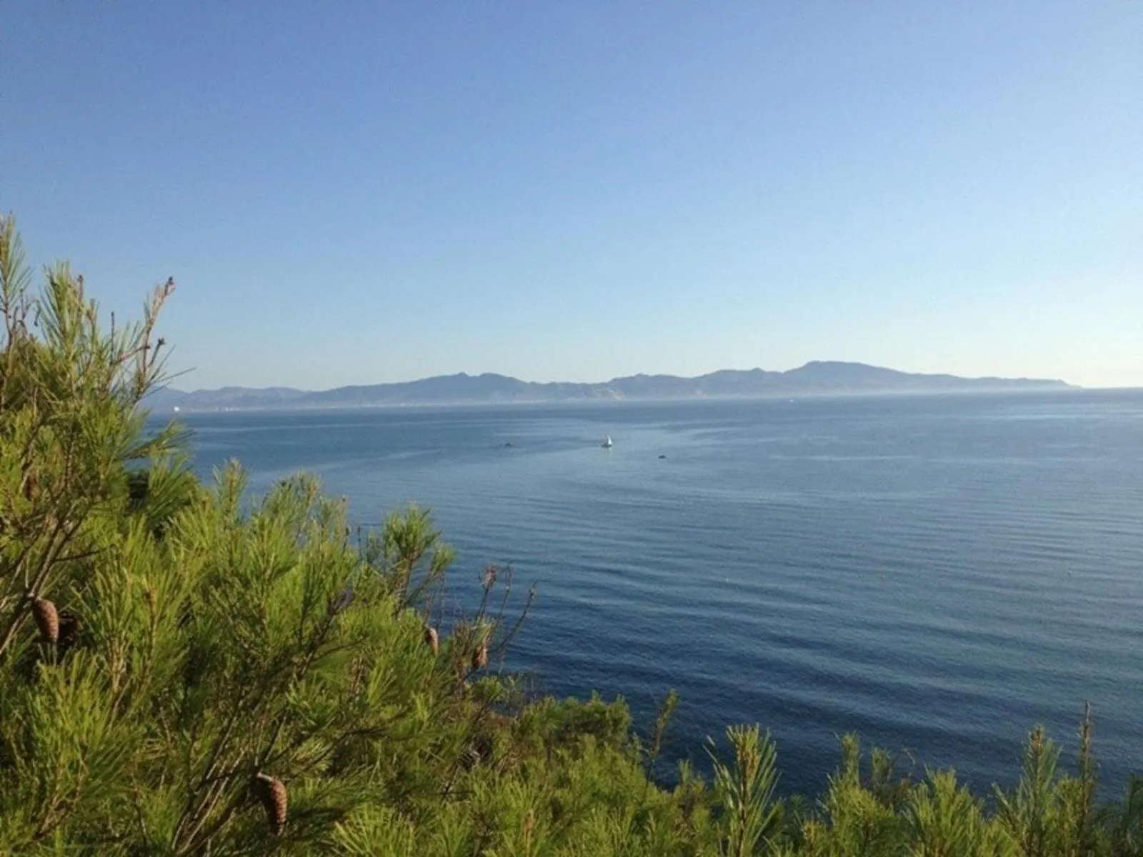 Landmark view in Puig Sureda 13 1C