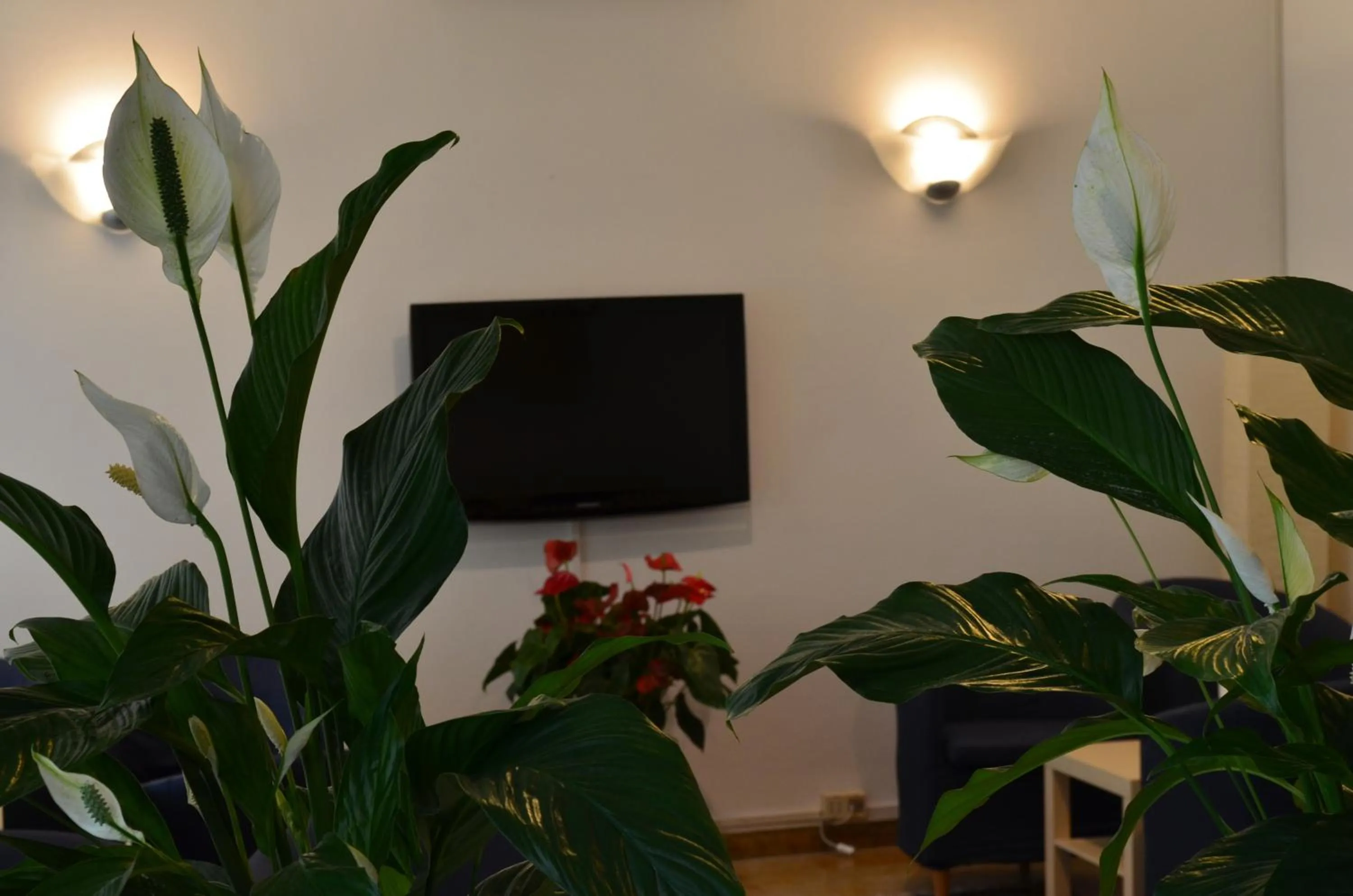 Communal lounge/ TV room in Hotel Capitol