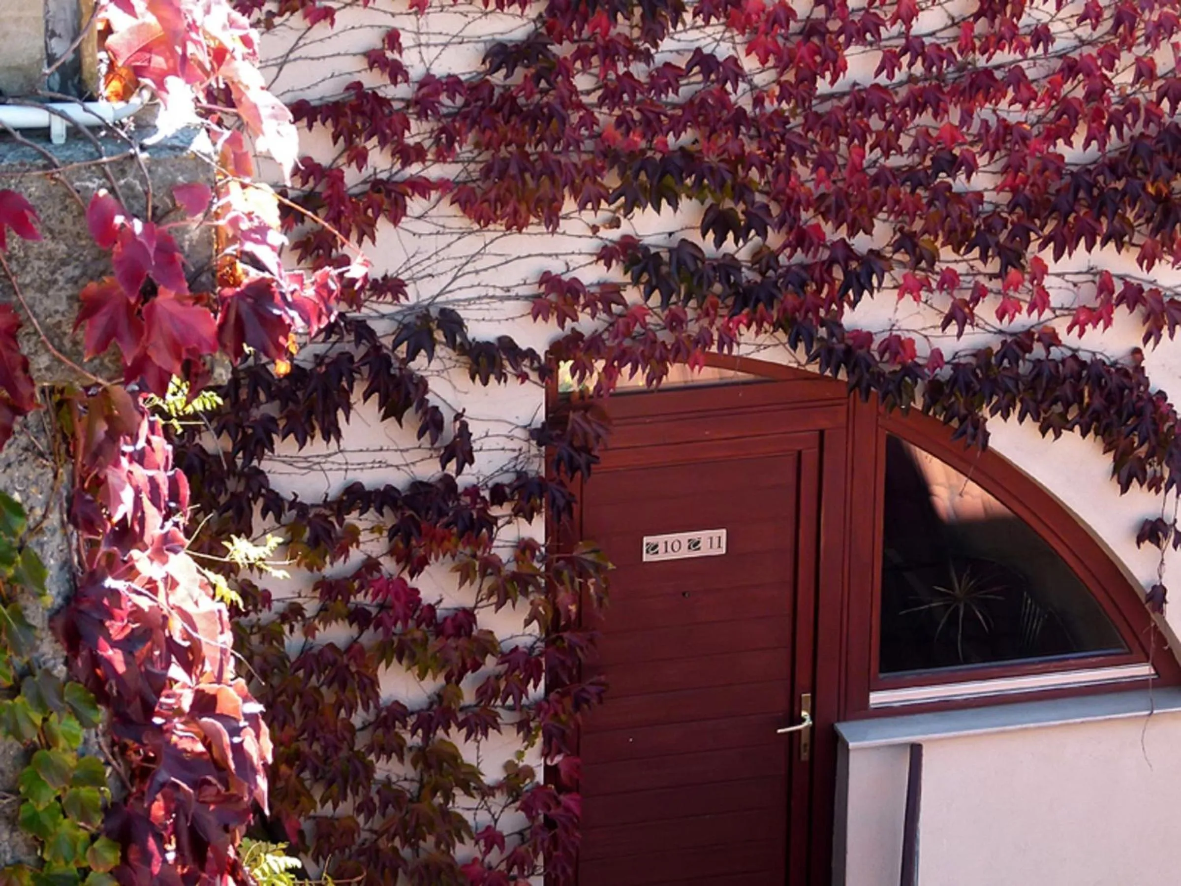Balcony/Terrace in Oliva Hotel