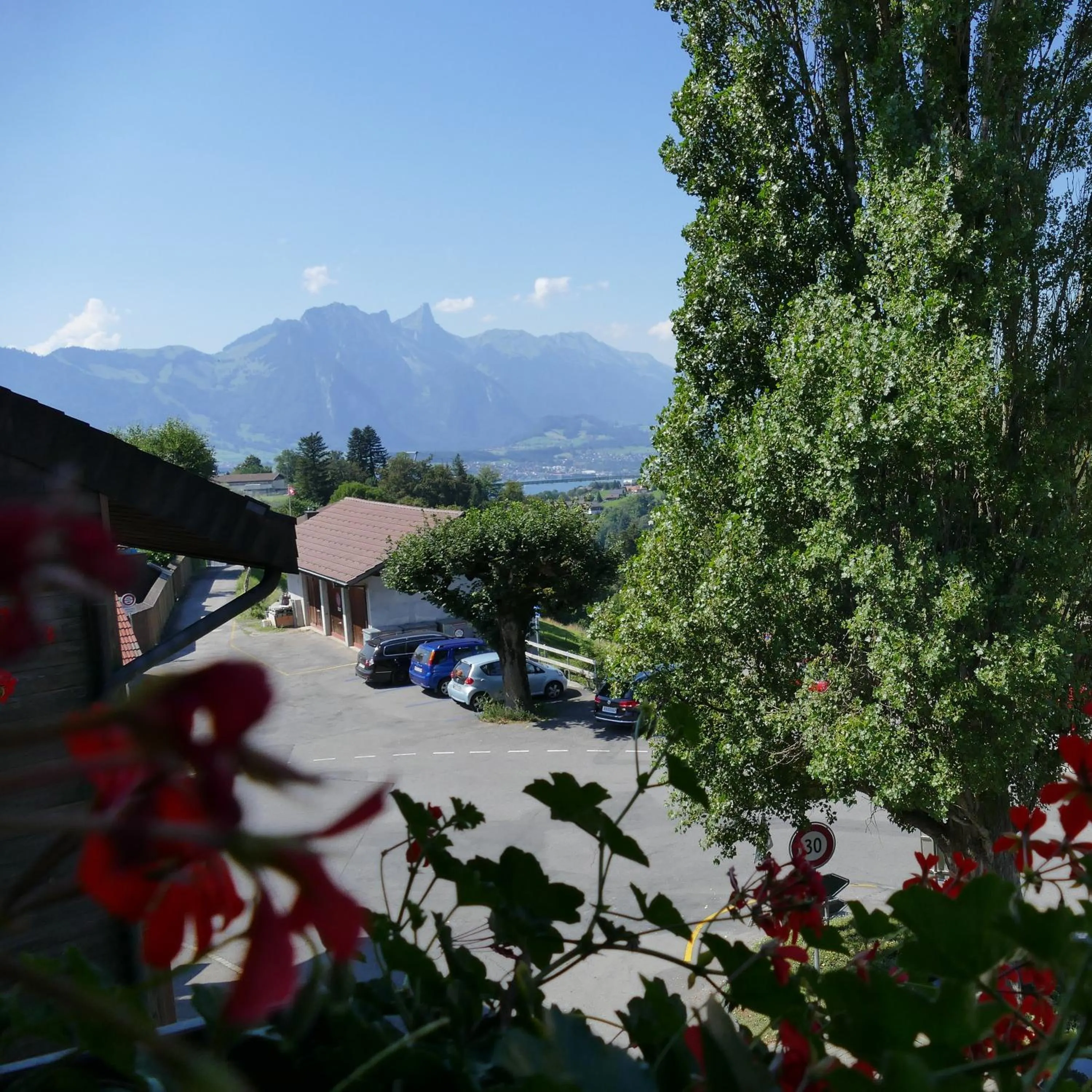 Mountain view in Hotel Adler