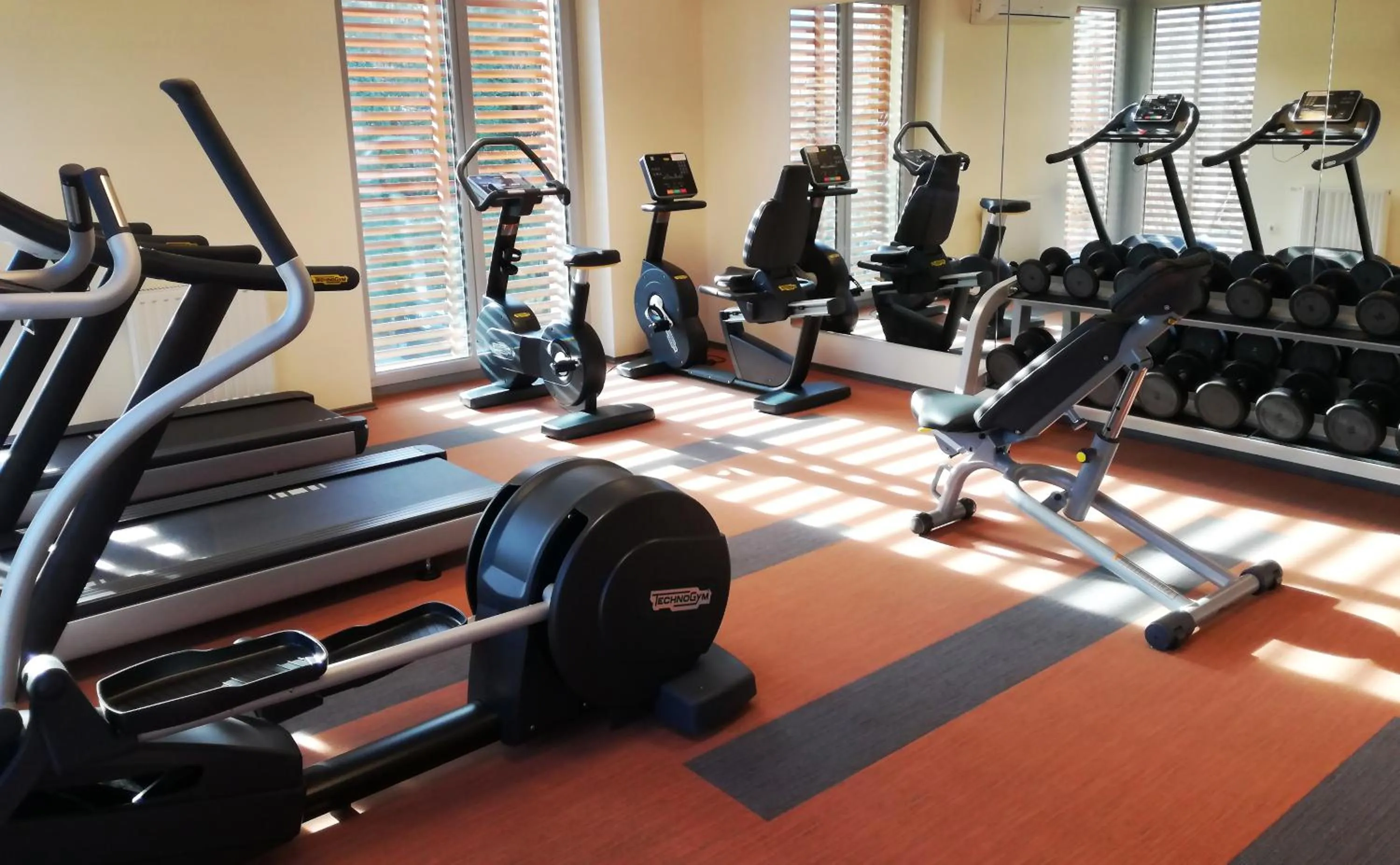 Fitness centre/facilities in Betekints Wellness Hotel