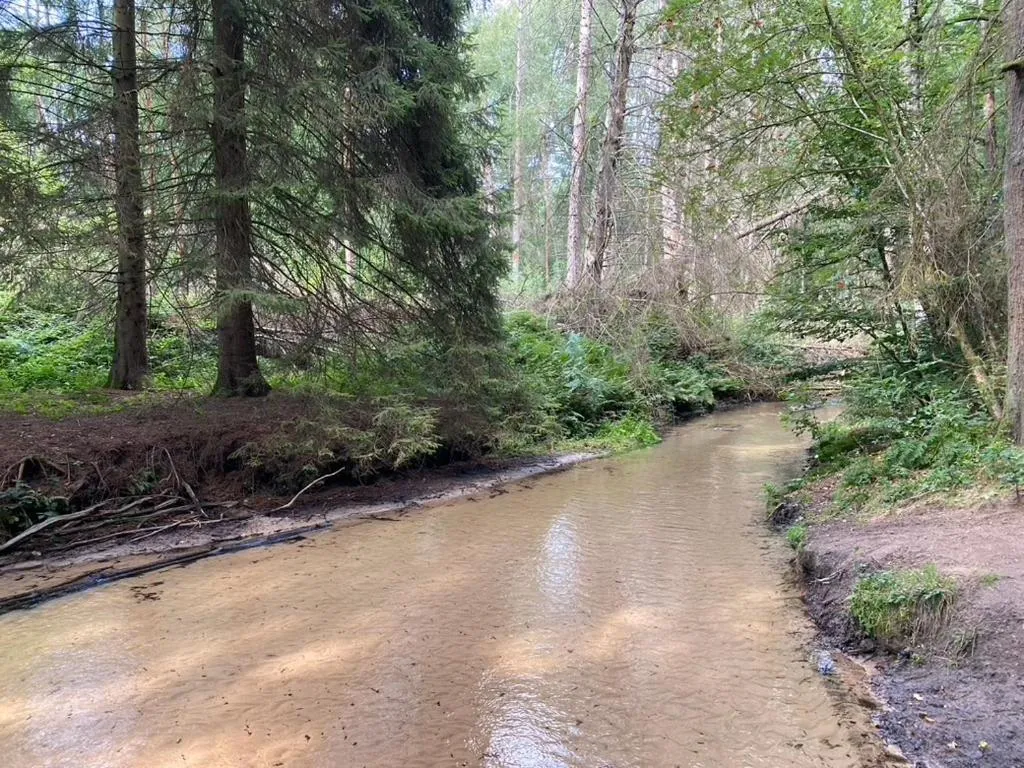 River view in Wilsmann Apartmentvermietung