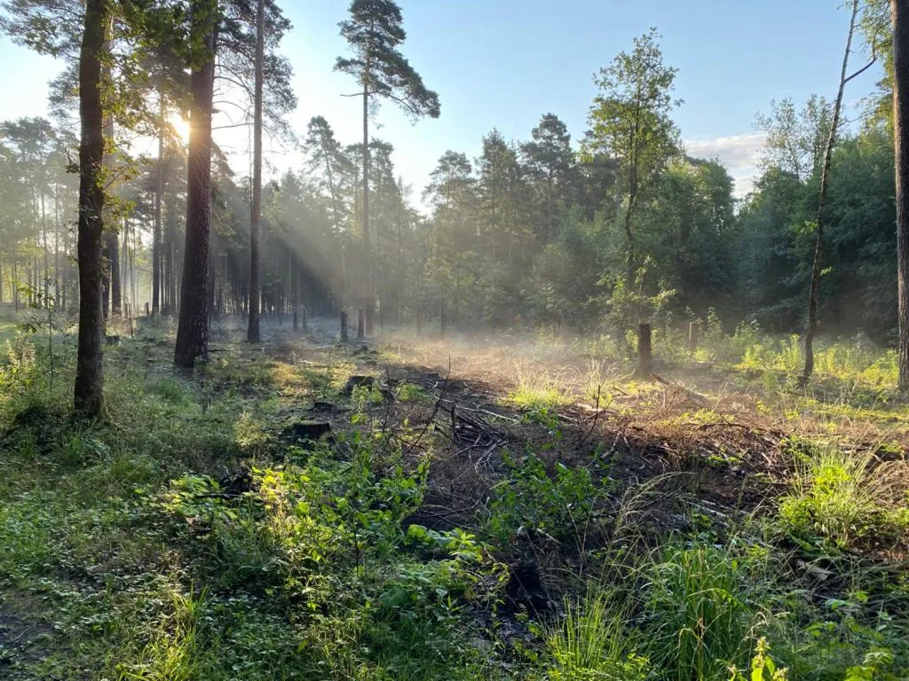 Natural landscape in Wilsmann Apartmentvermietung