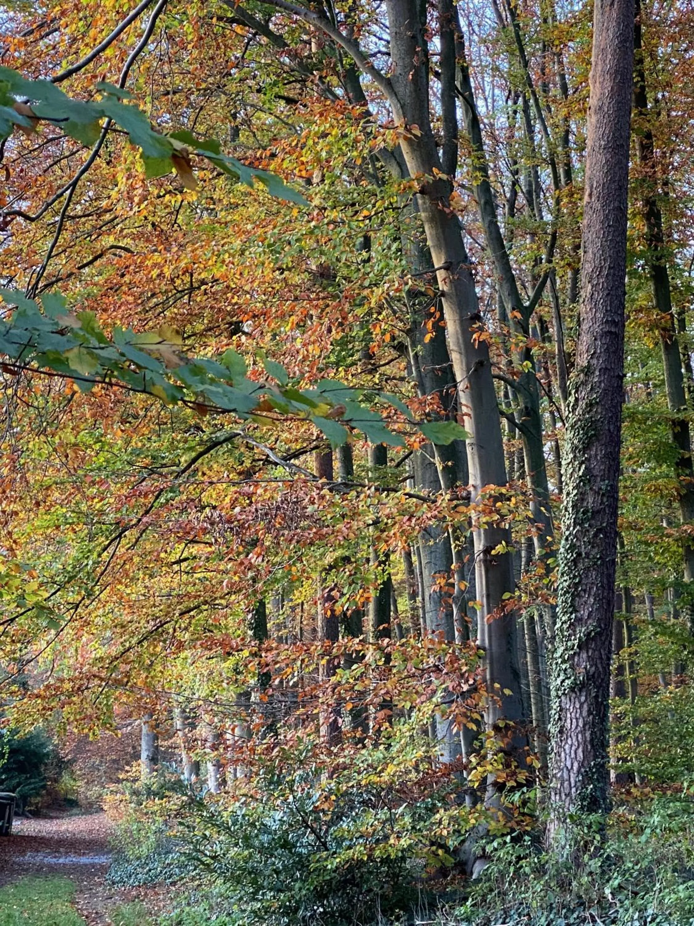 Natural landscape in Wilsmann Apartmentvermietung