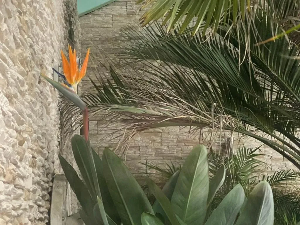 Wilsmann Apartmentvermietung