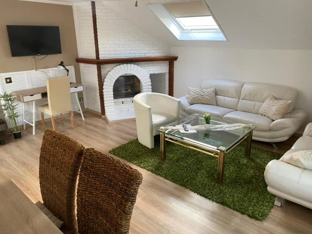 TV and multimedia in Wilsmann Apartmentvermietung