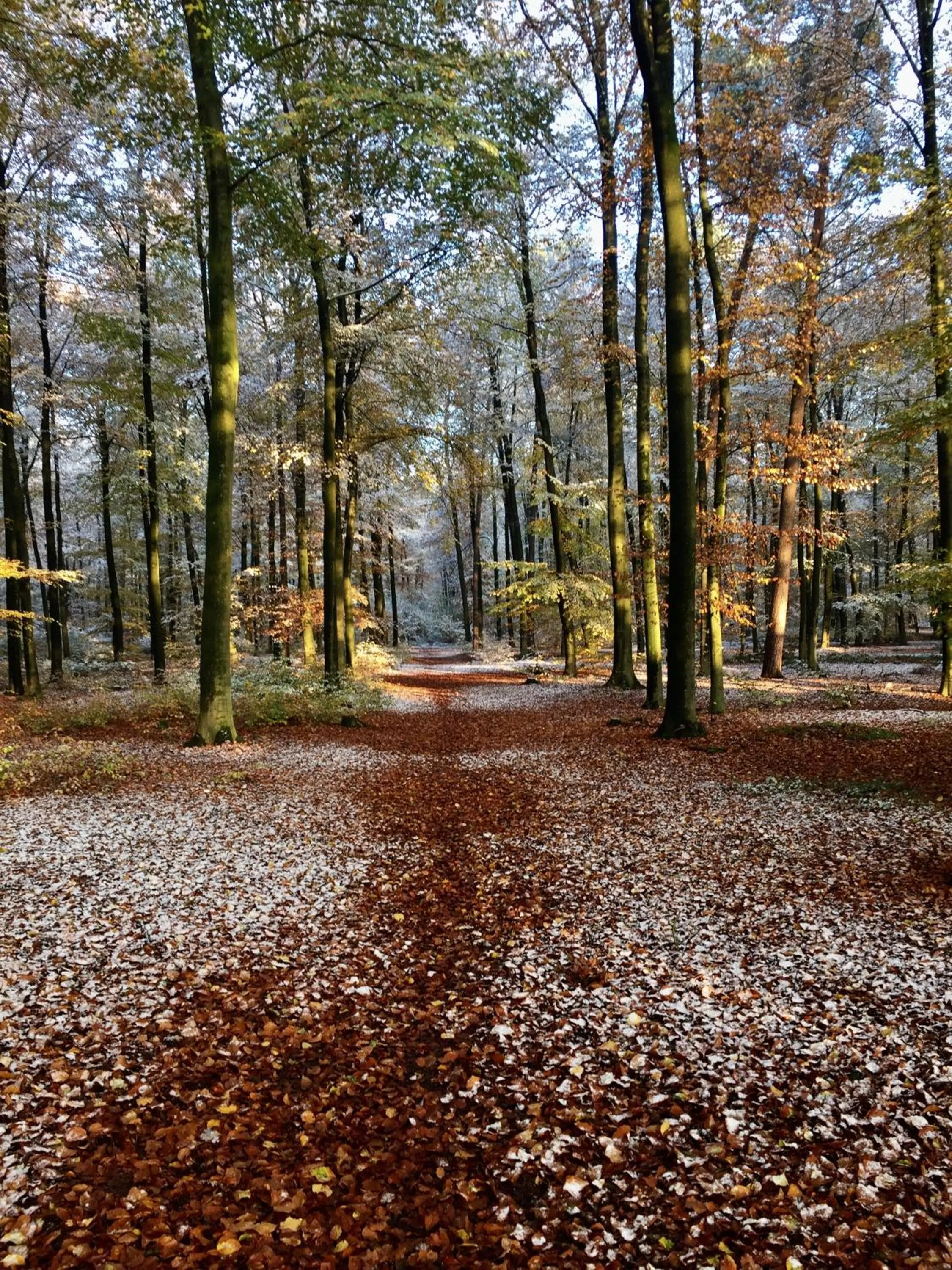 Neighbourhood in Wilsmann Apartmentvermietung