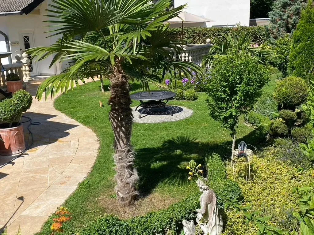 Garden in Wilsmann Apartmentvermietung