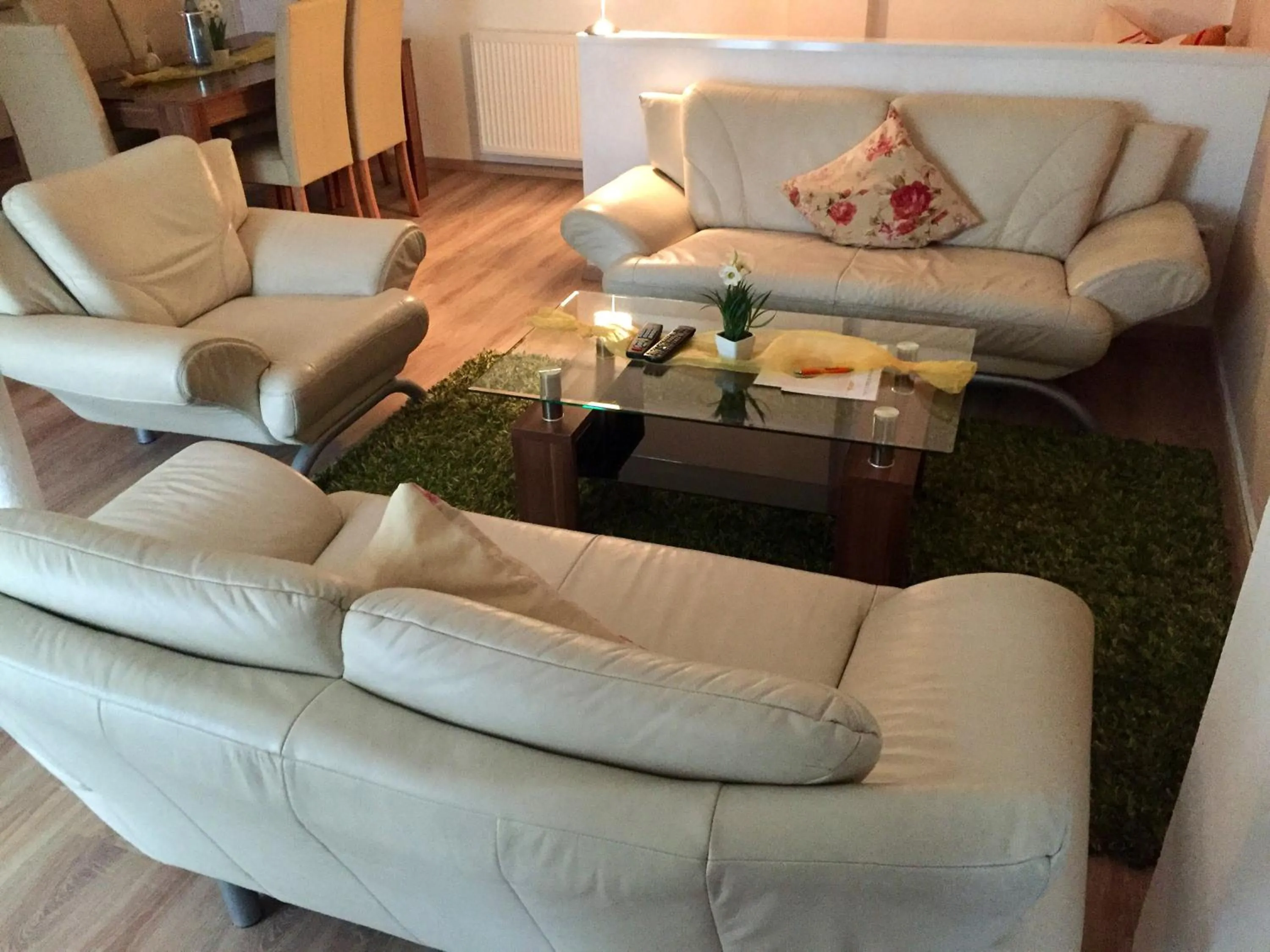 Living room in Wilsmann Apartmentvermietung