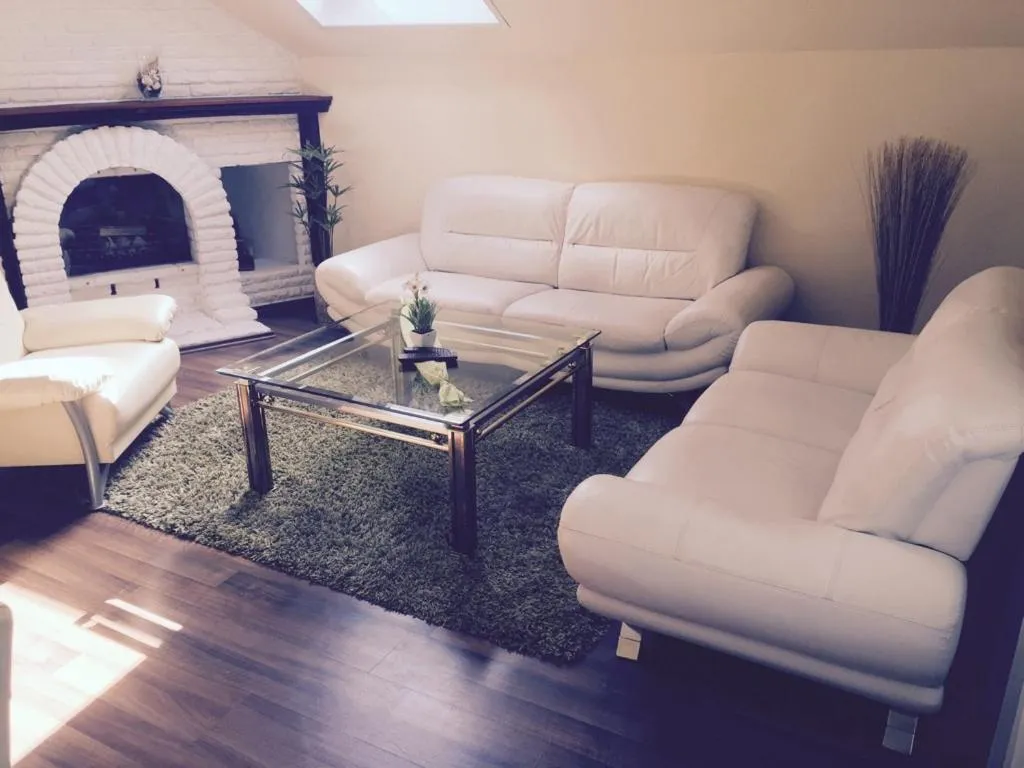 Living room in Wilsmann Apartmentvermietung