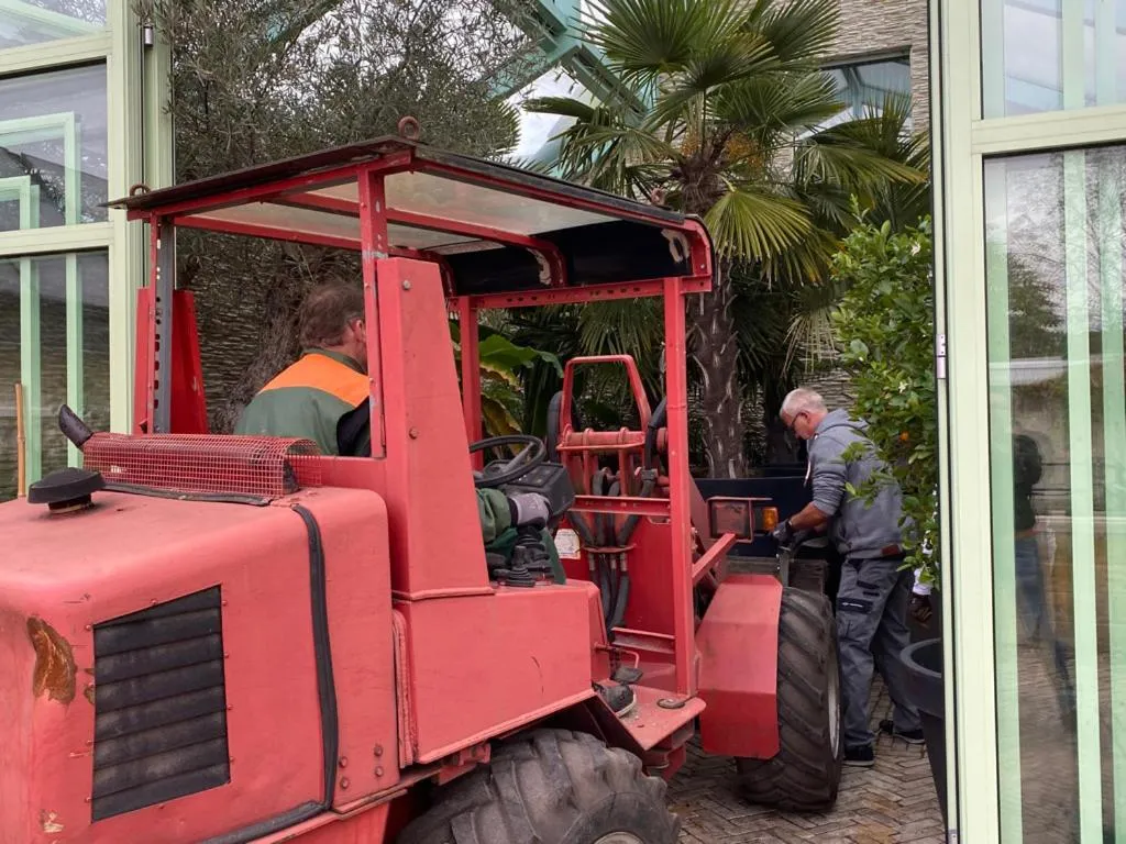 Day in Wilsmann Apartmentvermietung