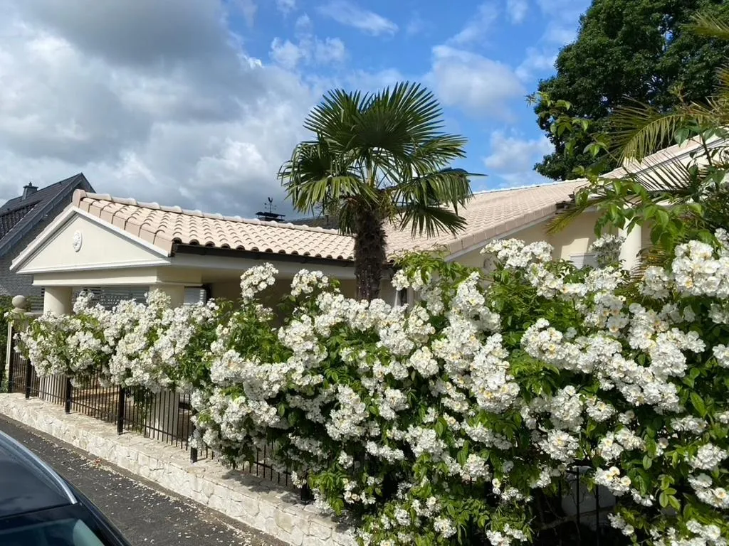 Property building in Wilsmann Apartmentvermietung