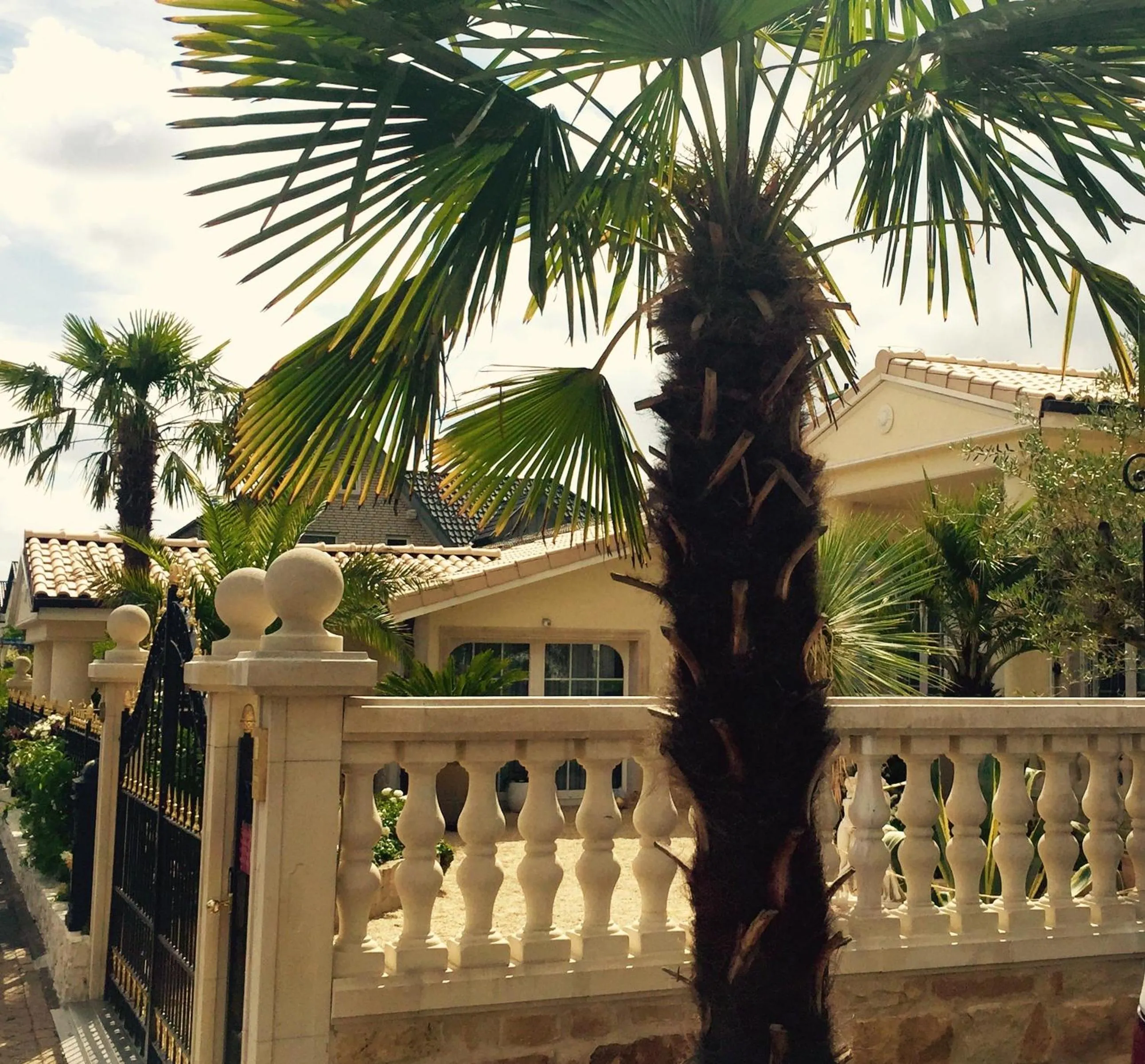 Property building in Wilsmann Apartmentvermietung