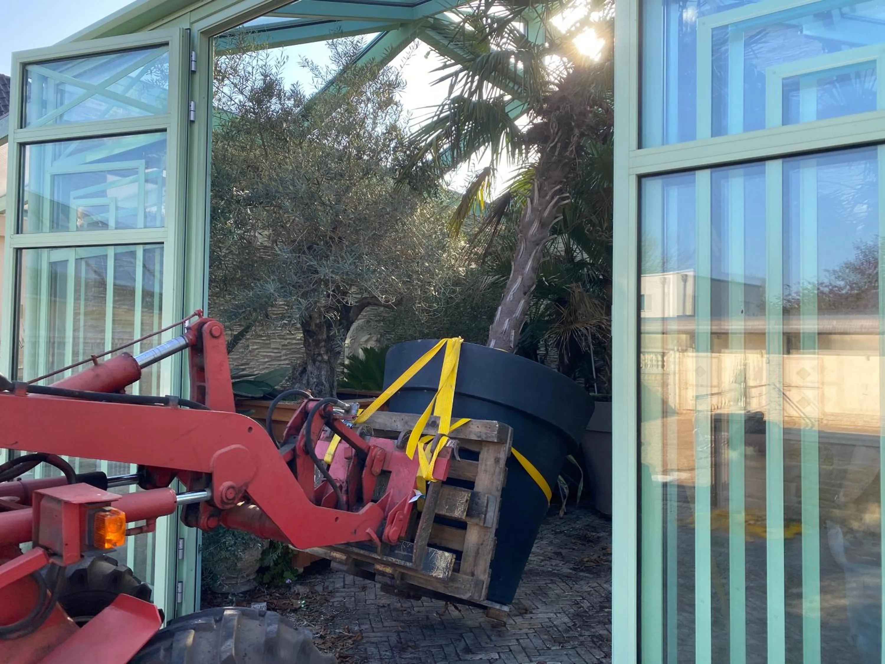 Garden view in Wilsmann Apartmentvermietung