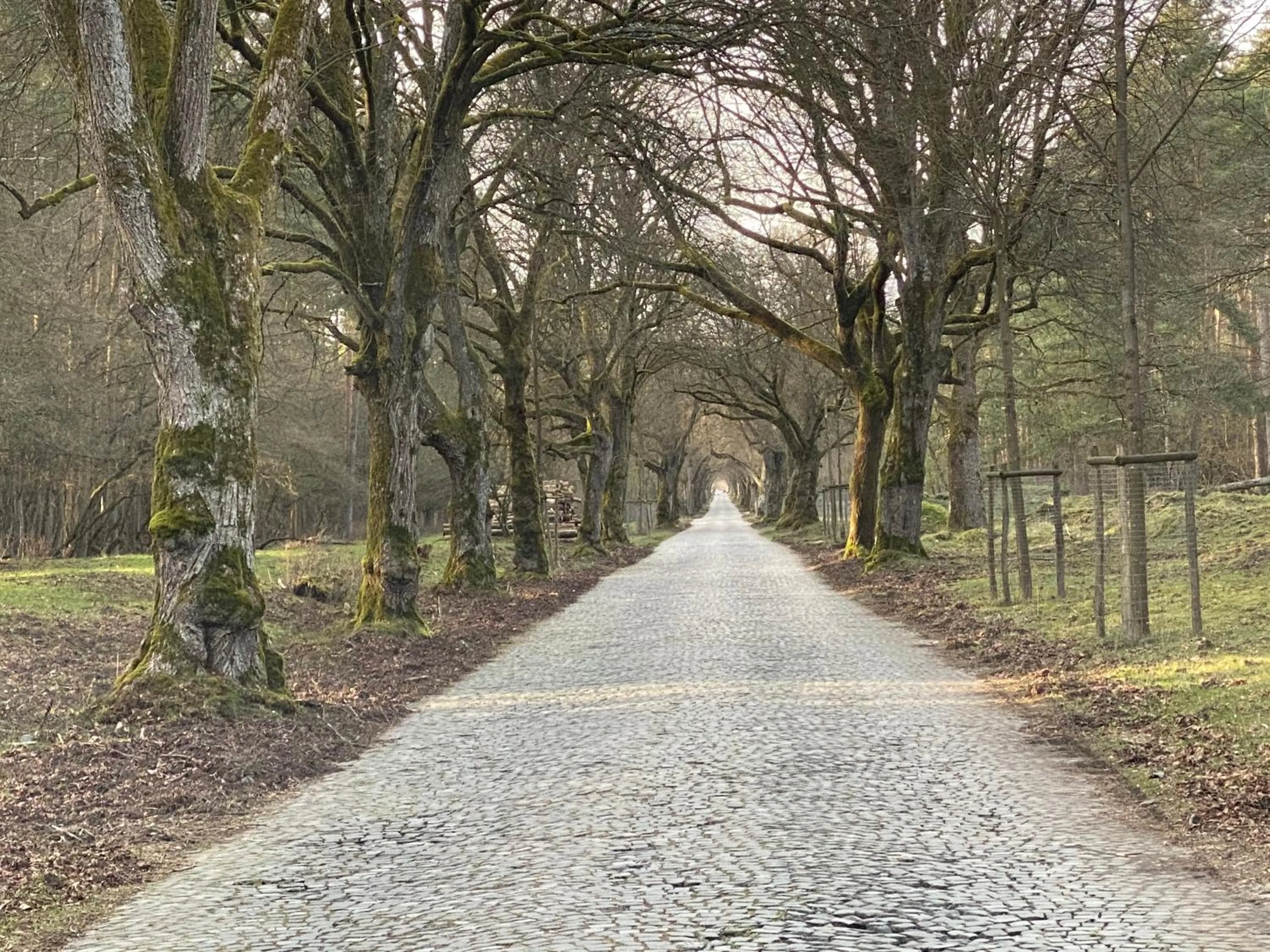Natural landscape in Wilsmann Apartmentvermietung