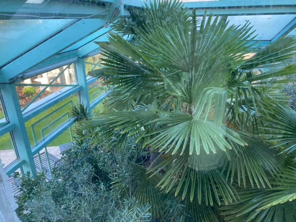 Garden in Wilsmann Apartmentvermietung