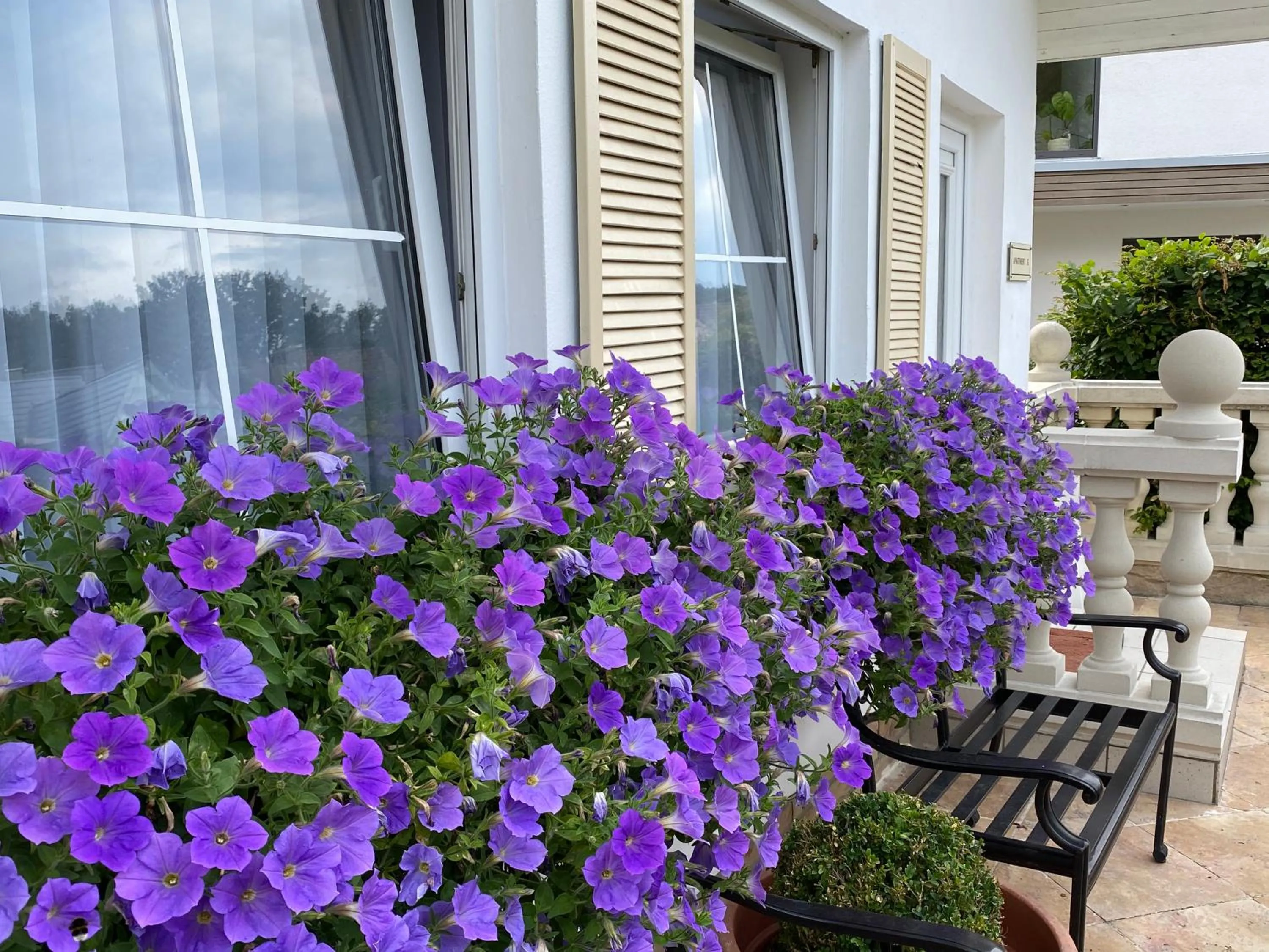 Garden view in Wilsmann Apartmentvermietung