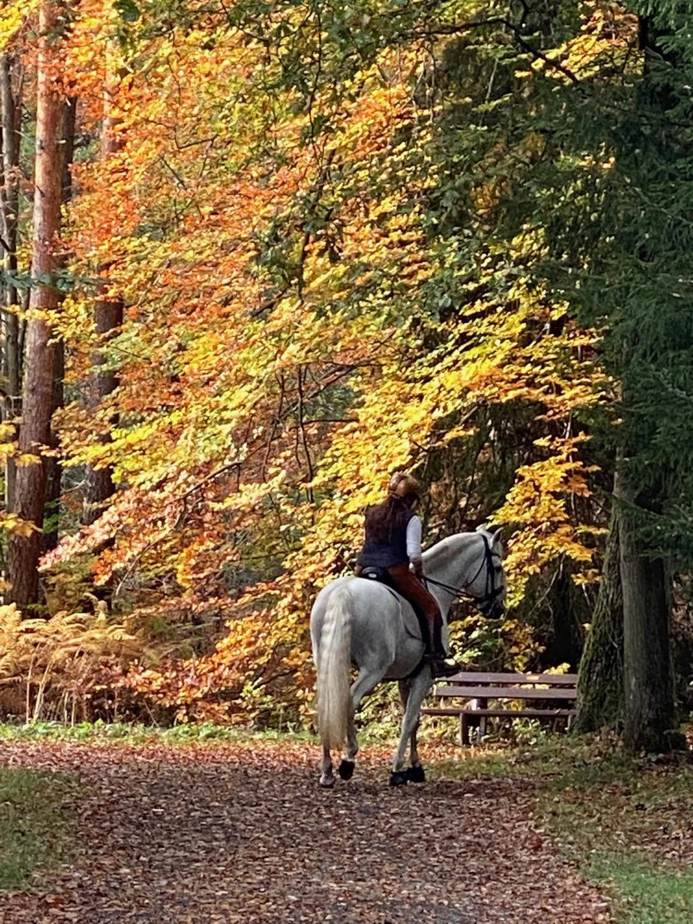 Natural landscape in Wilsmann Apartmentvermietung