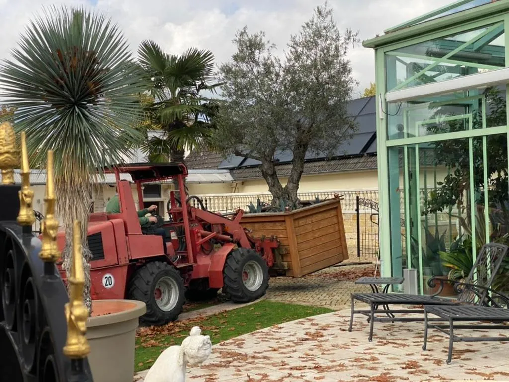 Patio in Wilsmann Apartmentvermietung