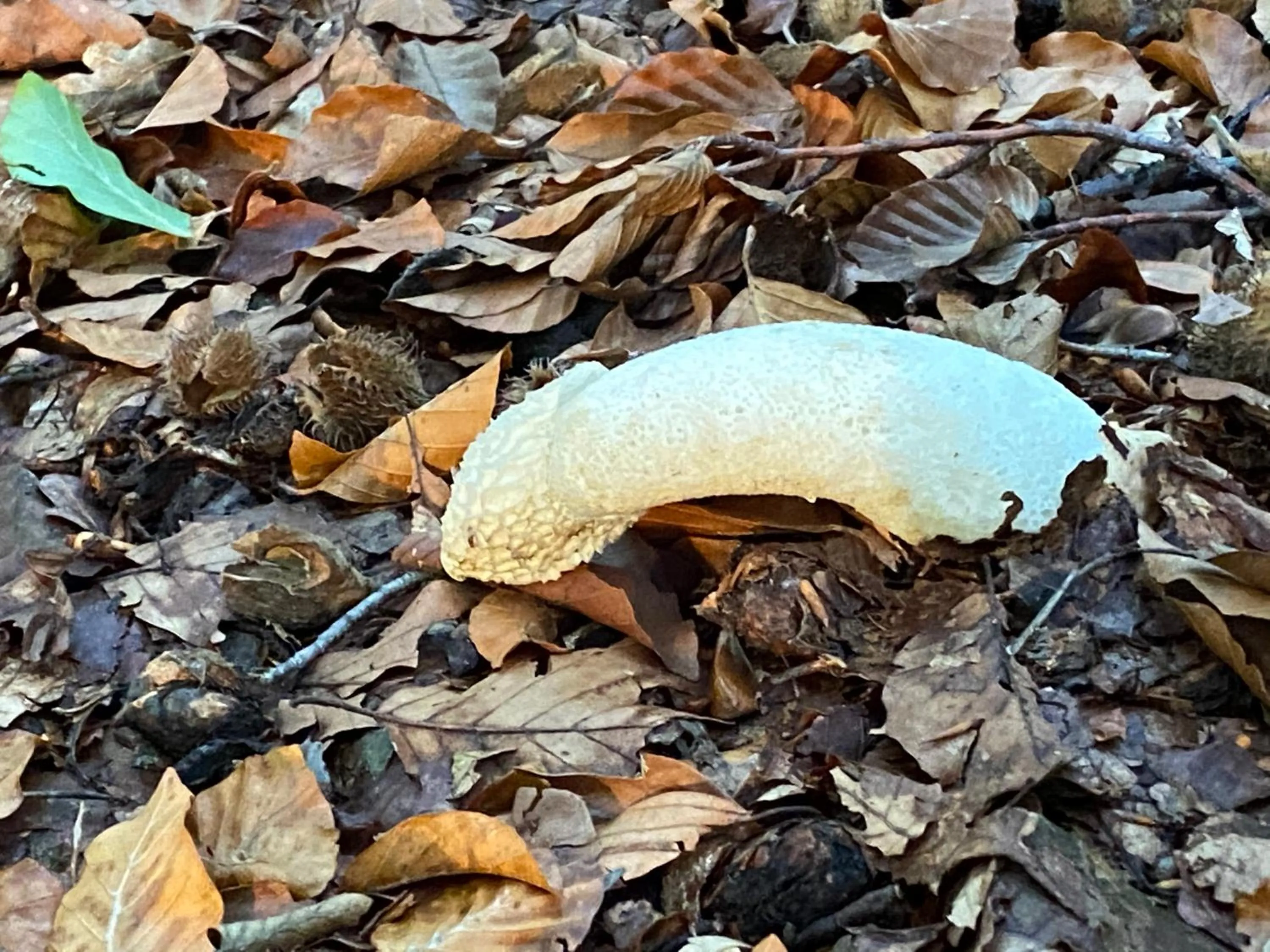 Natural landscape in Wilsmann Apartmentvermietung