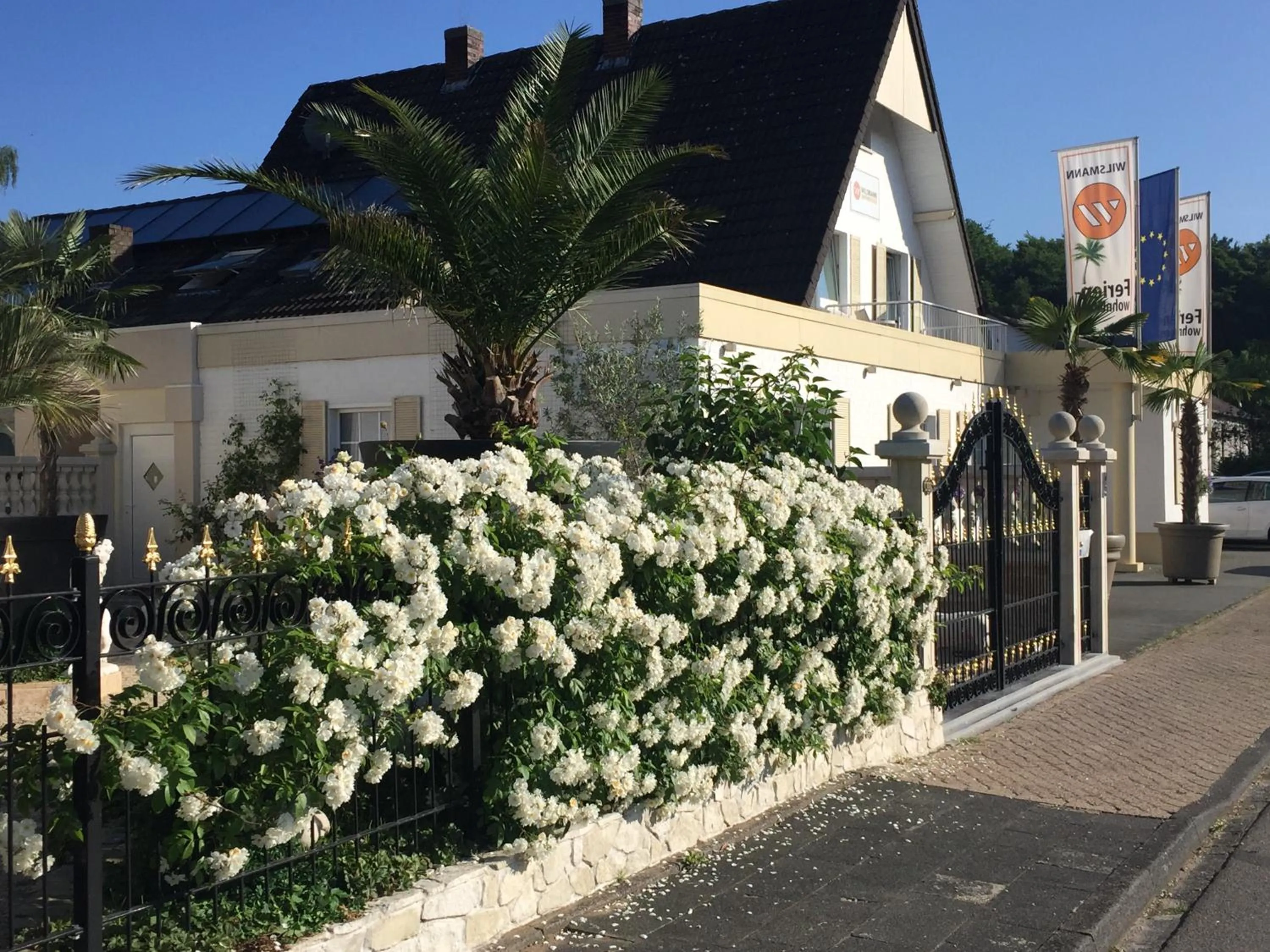 Facade/entrance in Wilsmann Apartmentvermietung
