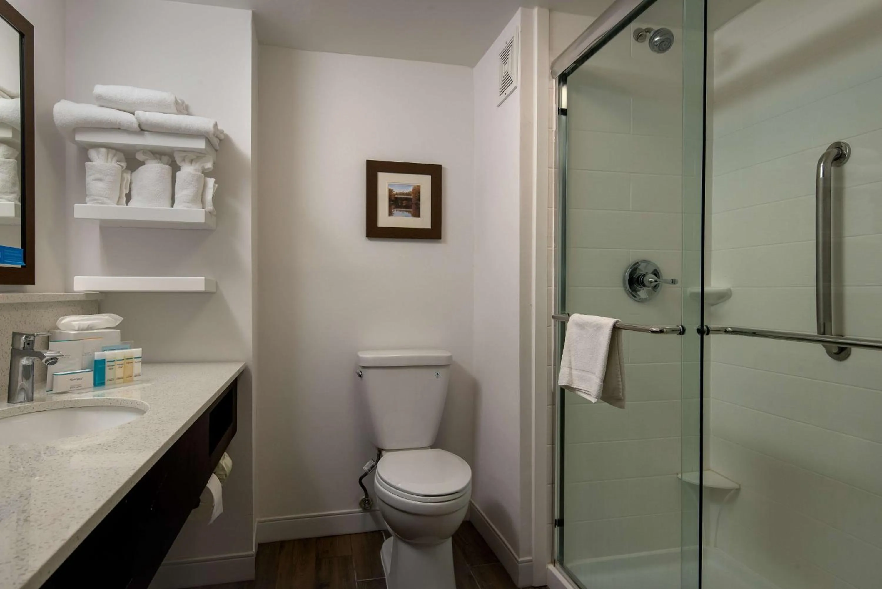 Bathroom in Hampton Inn Commerce