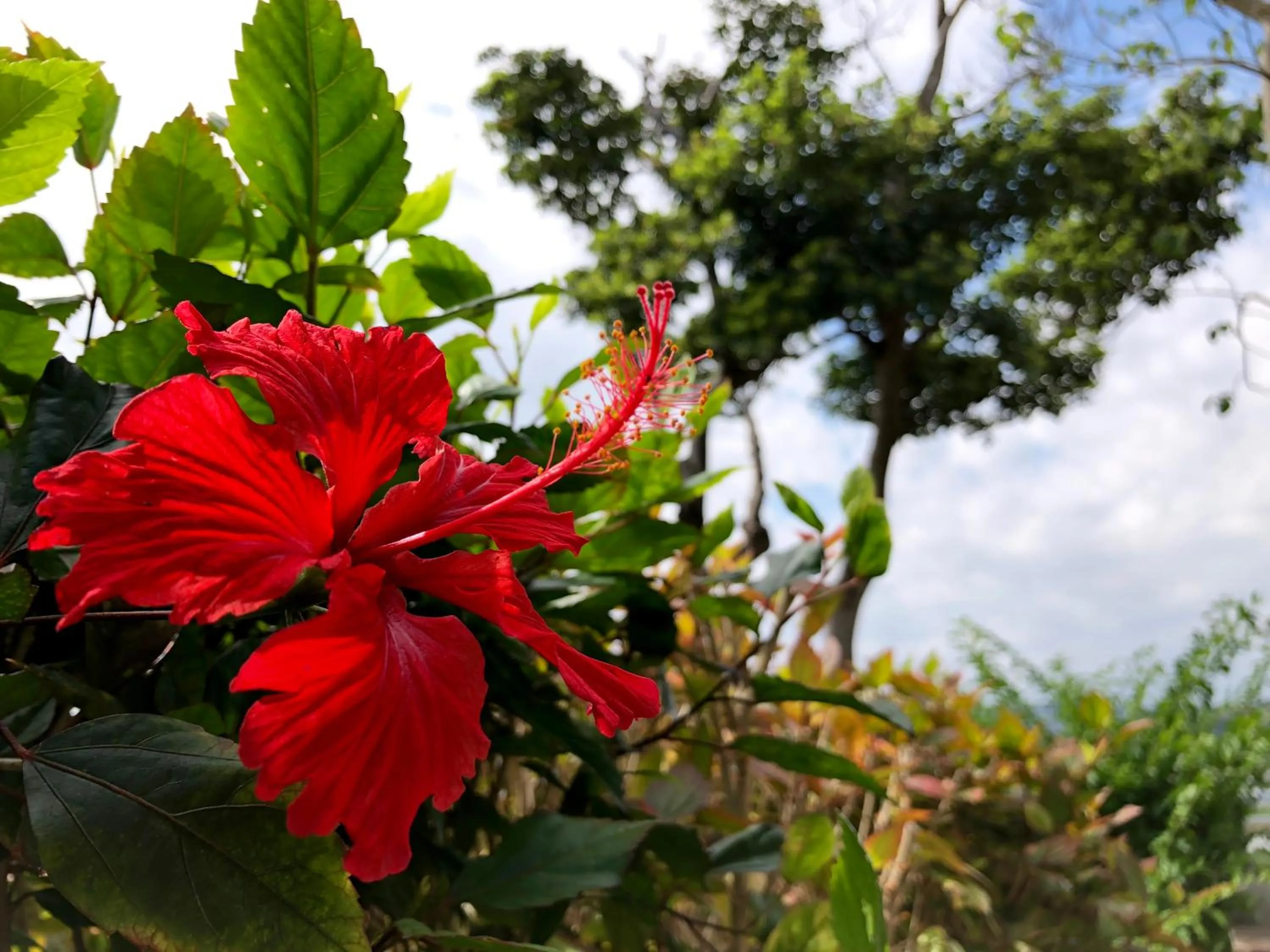 Natural landscape in Kaiza