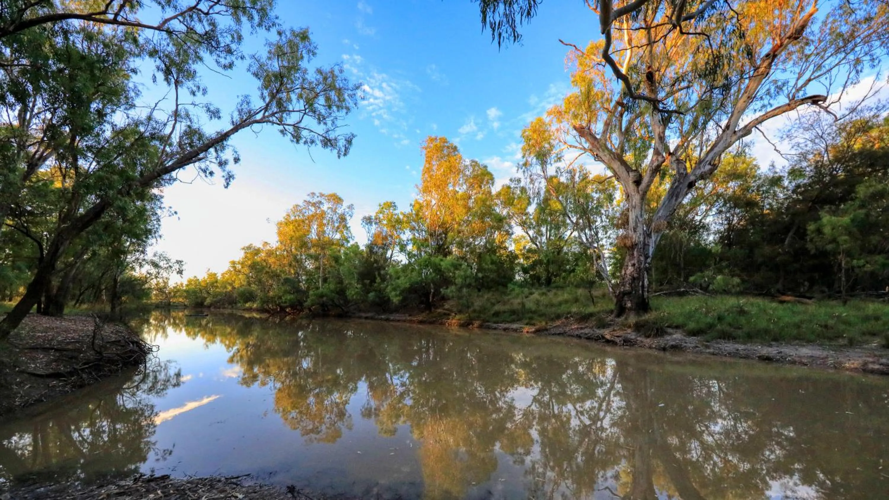 Day in Toobeah hotel/motel