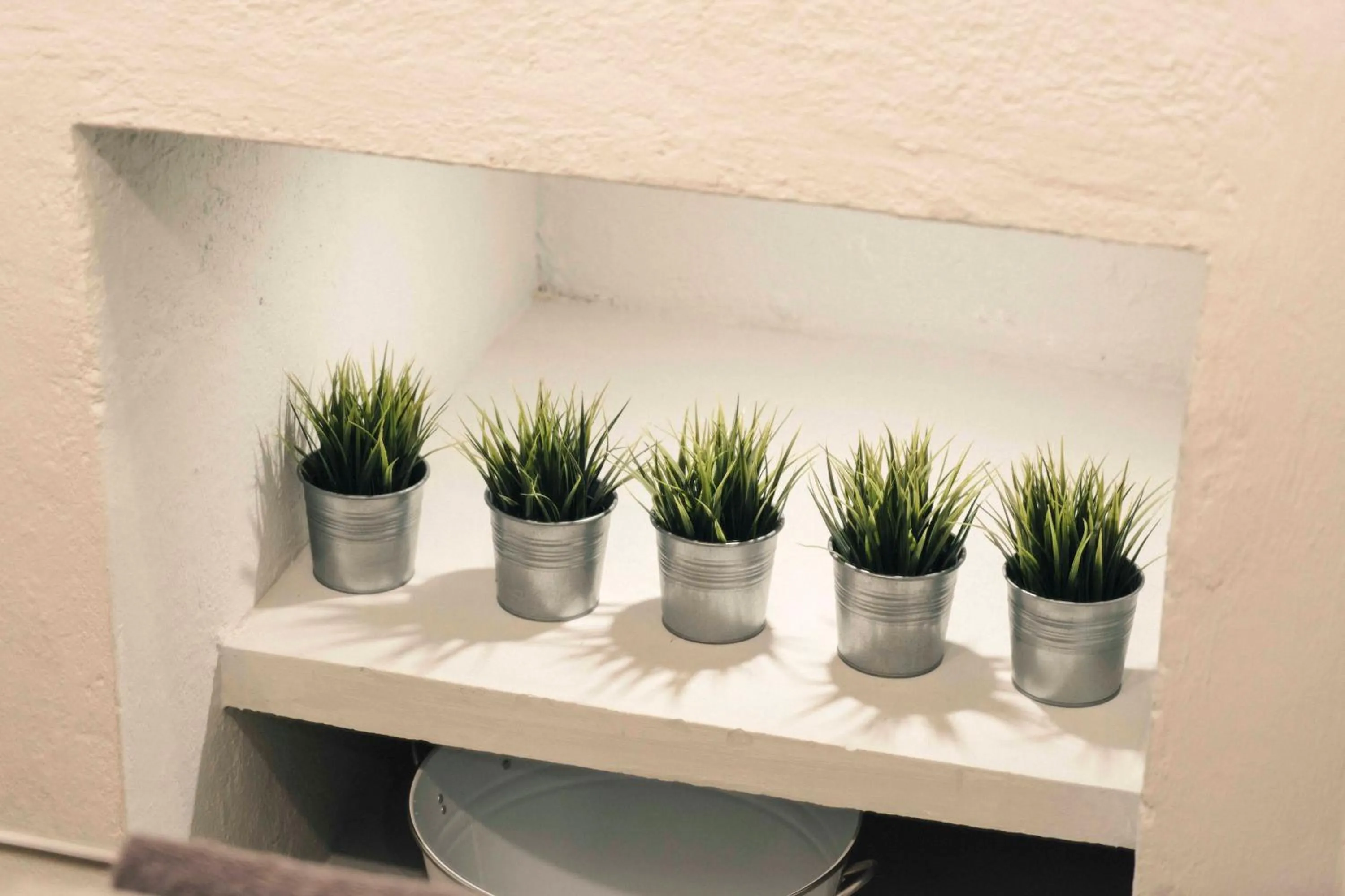 Canela Fina - Adults Only