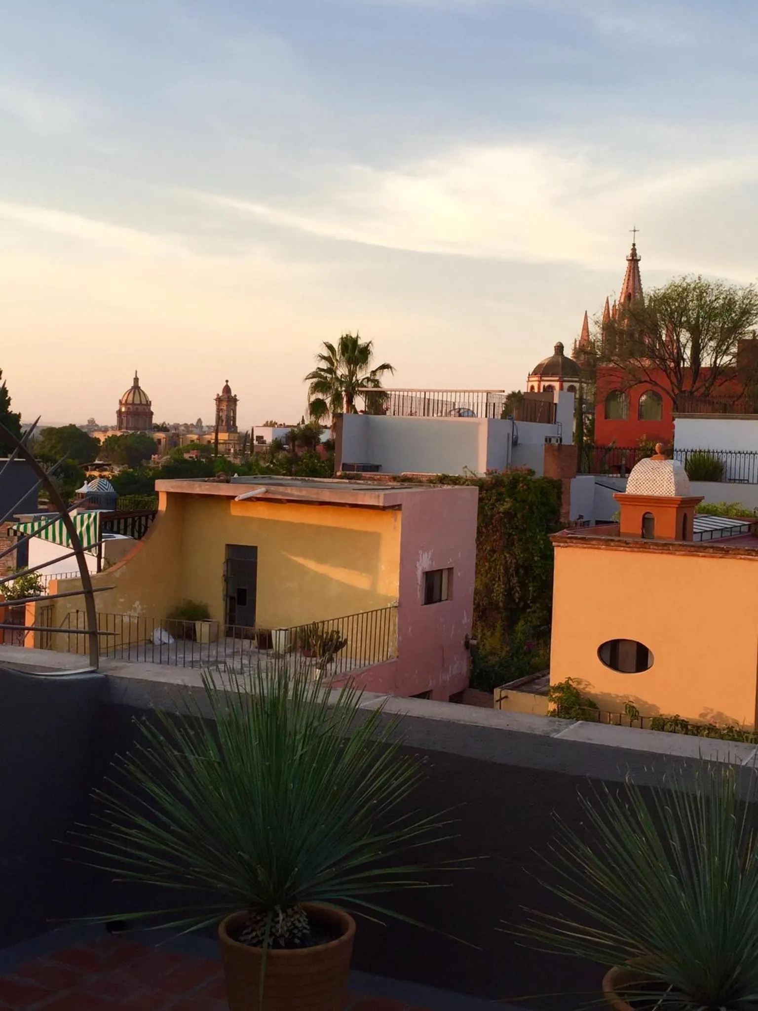 Canela Fina - Adults Only