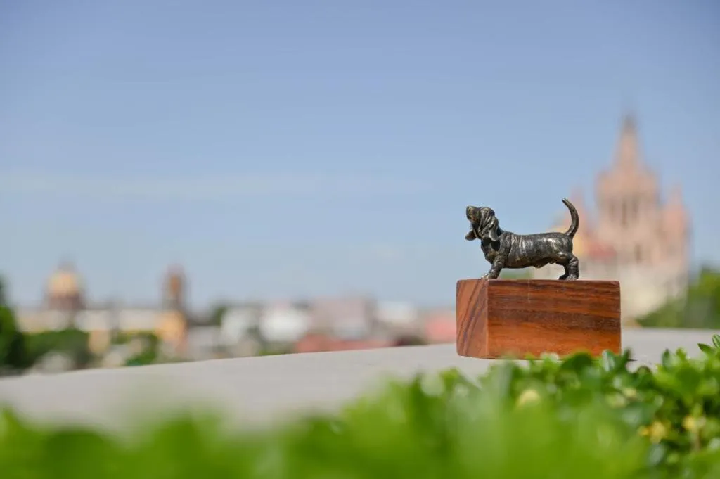 Canela Fina - Adults Only