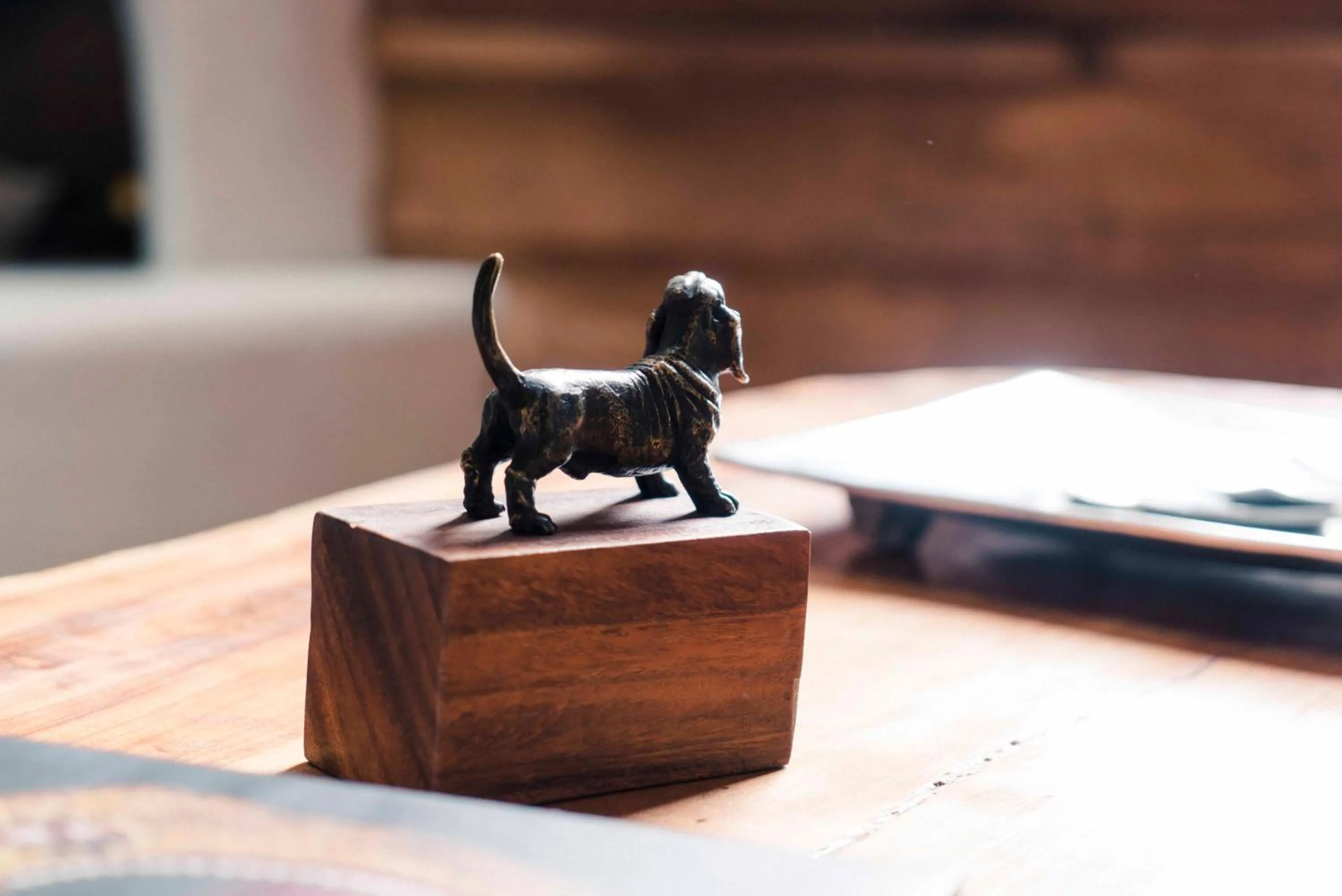 Canela Fina - Adults Only