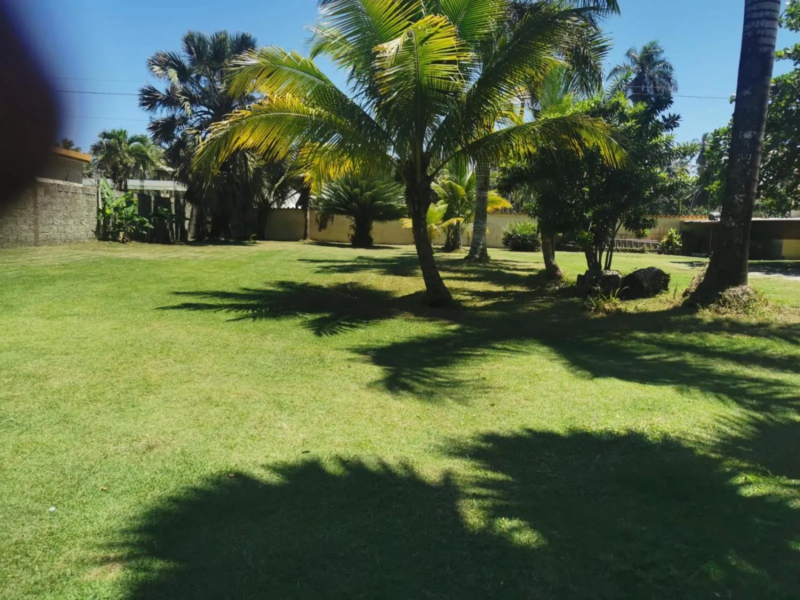 Garden in Hotel Cambri