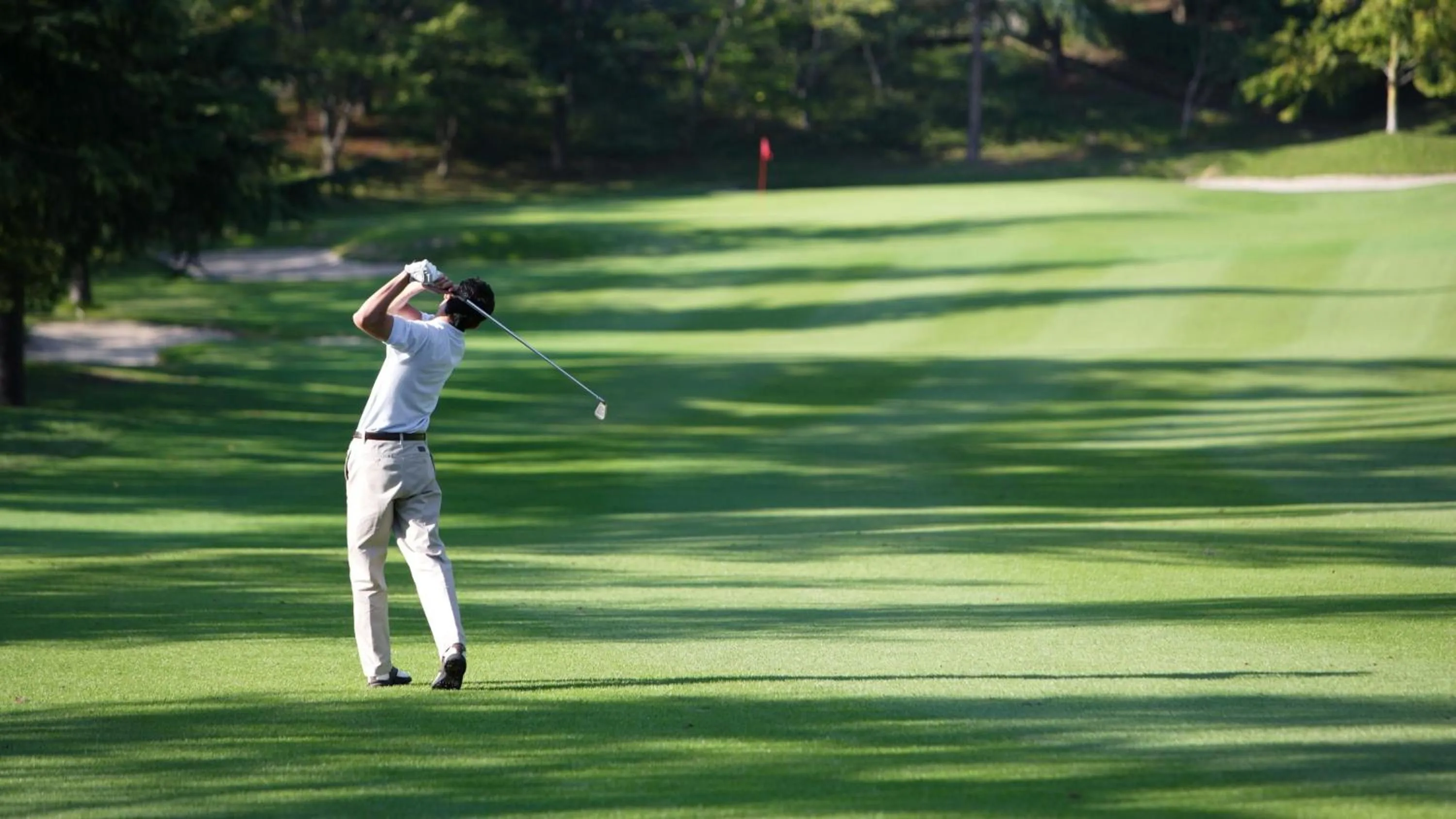 Golfcourse in InterContinental Porto - Palacio das Cardosas by IHG