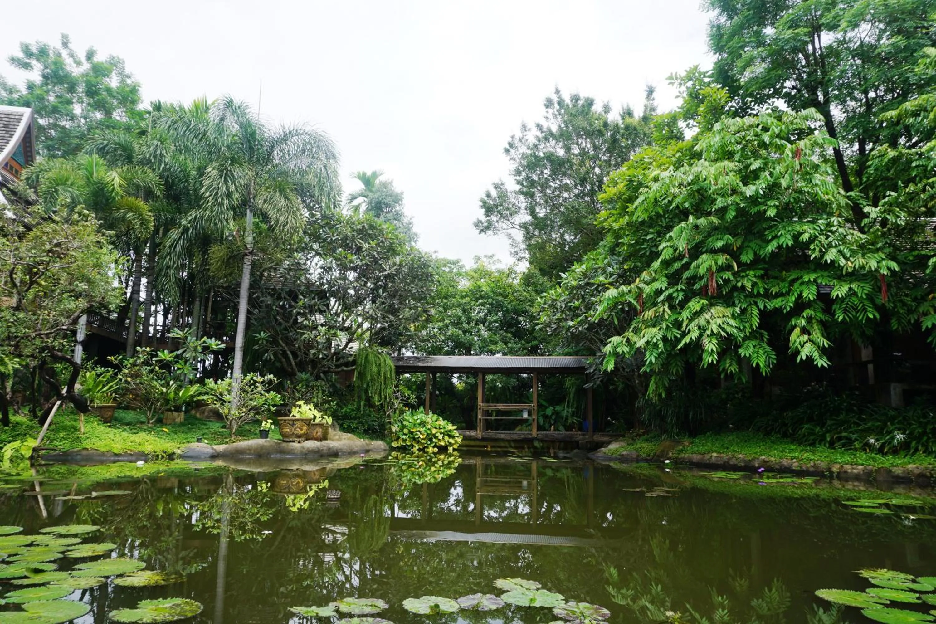 Natural landscape in Baansuwanburi - บ้านสุวรรณบุรี