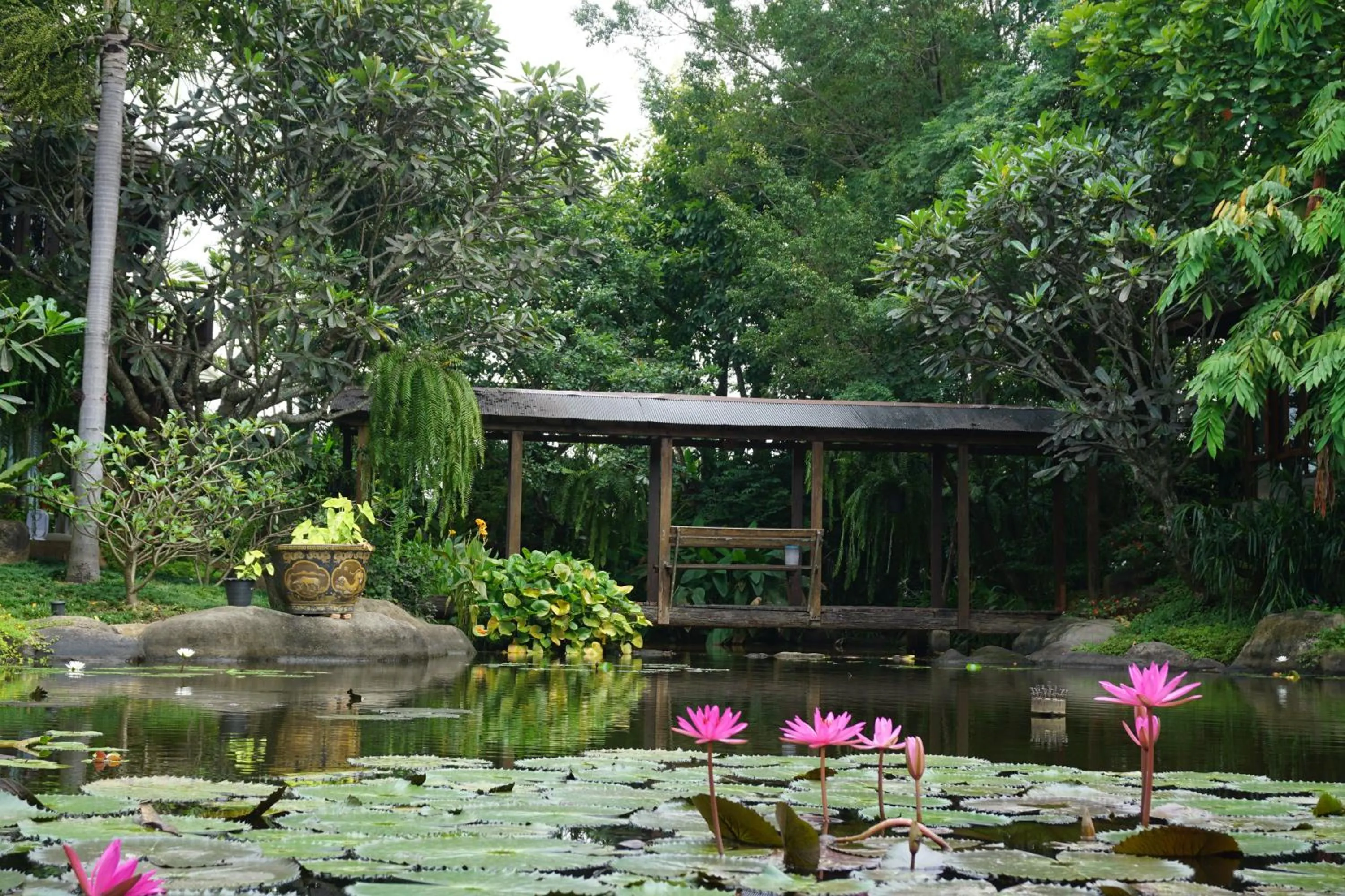 Garden view in Baansuwanburi - บ้านสุวรรณบุรี