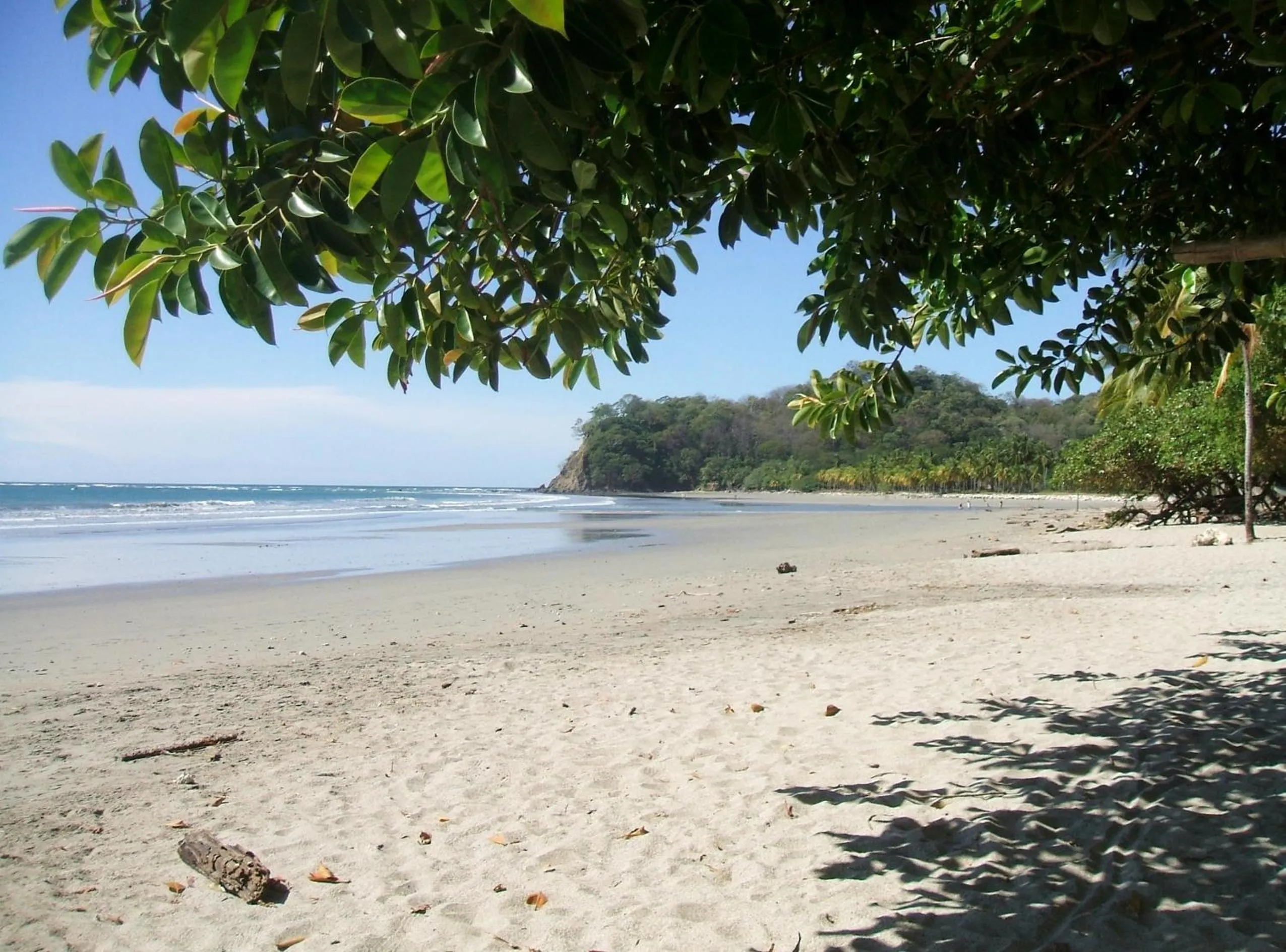 Beach in BellaVista Suites By Villas Verdes - Samara Beach