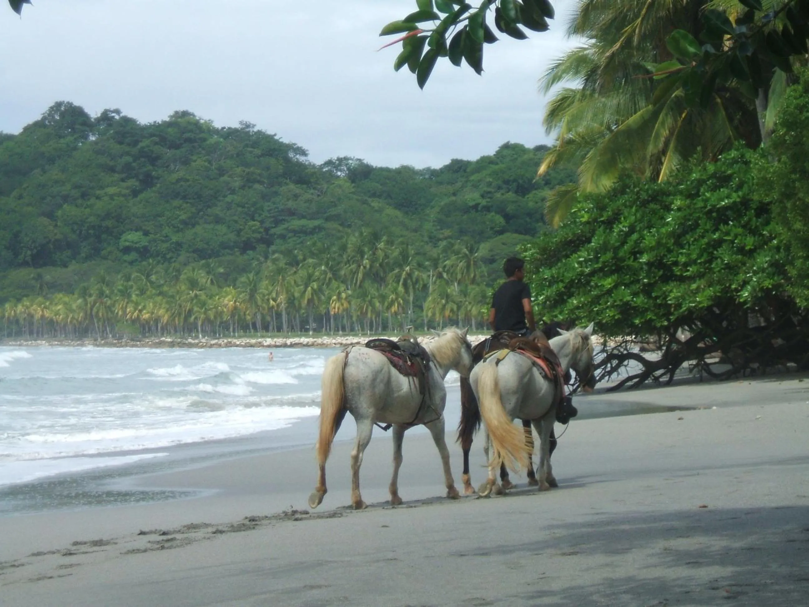 Beach in BellaVista Suites By Villas Verdes - Samara Beach