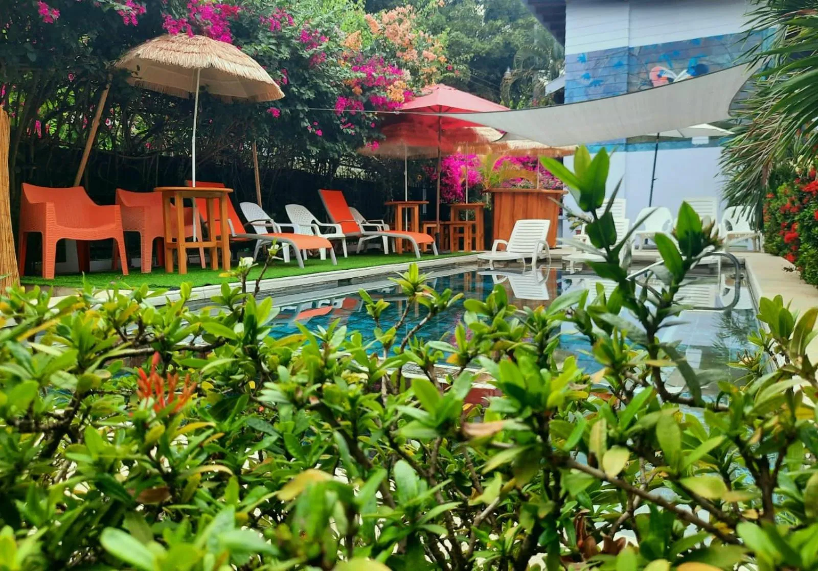 Garden in BellaVista Suites By Villas Verdes - Samara Beach