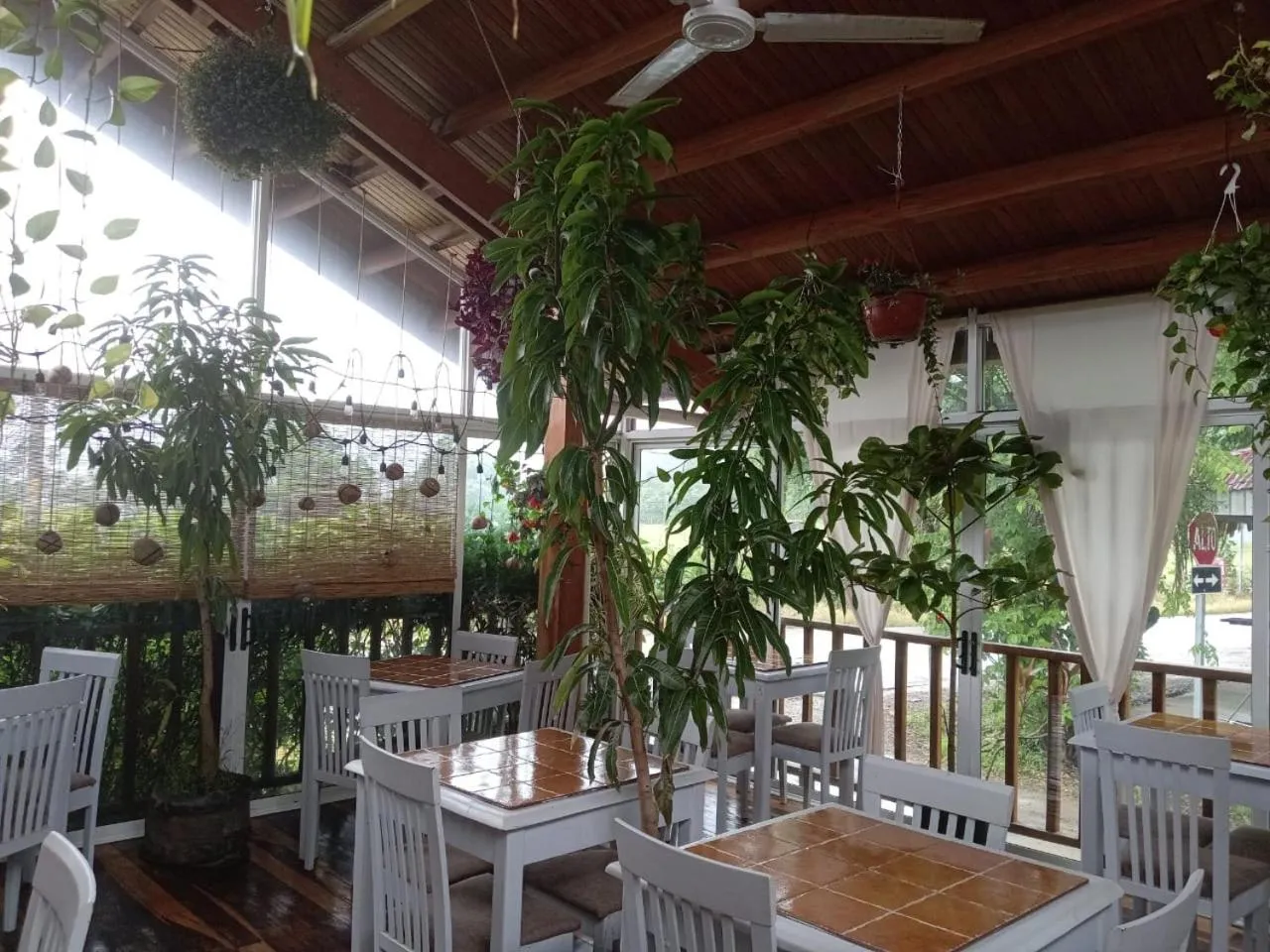 Restaurant/places to eat in BellaVista Suites By Villas Verdes - Samara Beach