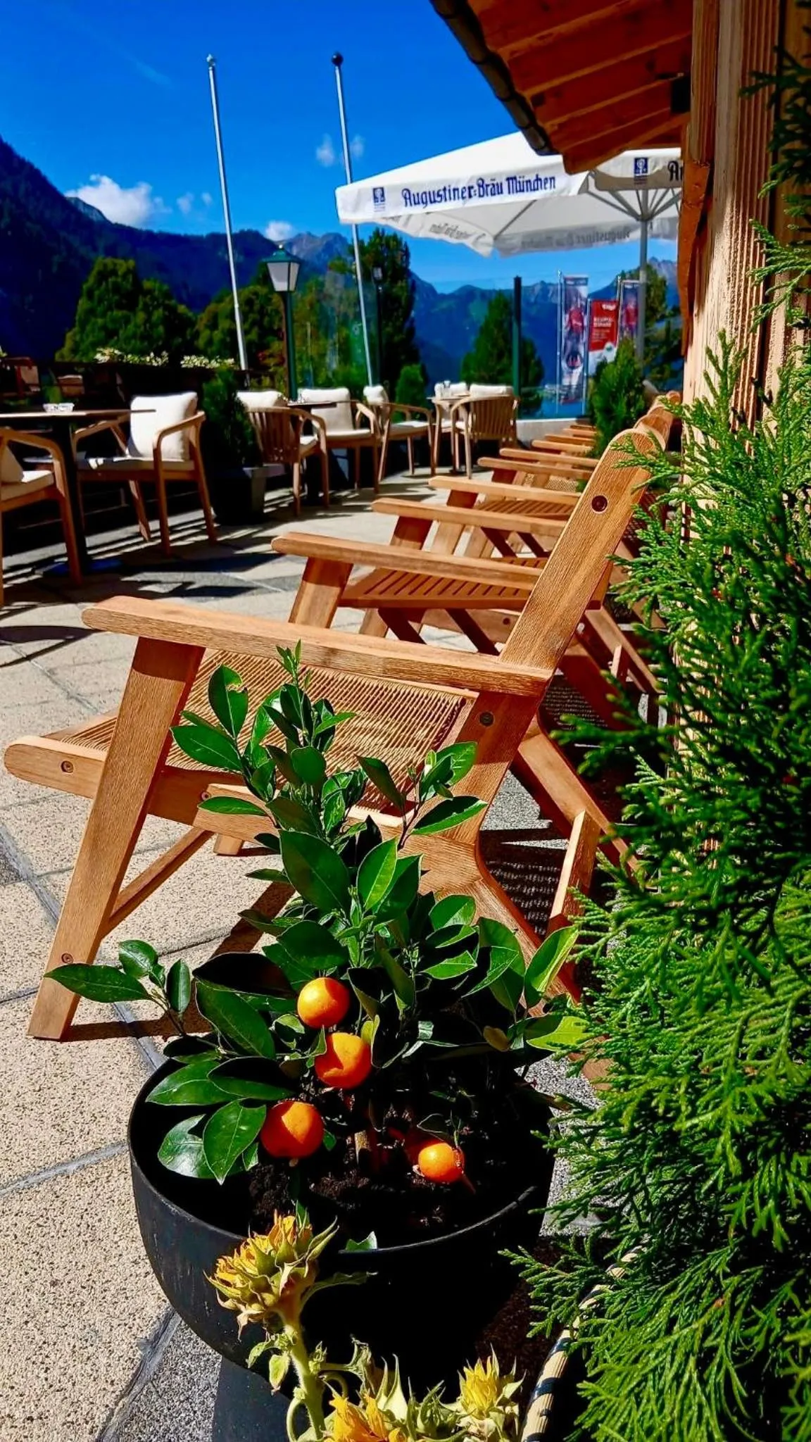 Restaurant/places to eat in Alpenhotel Edelweiss