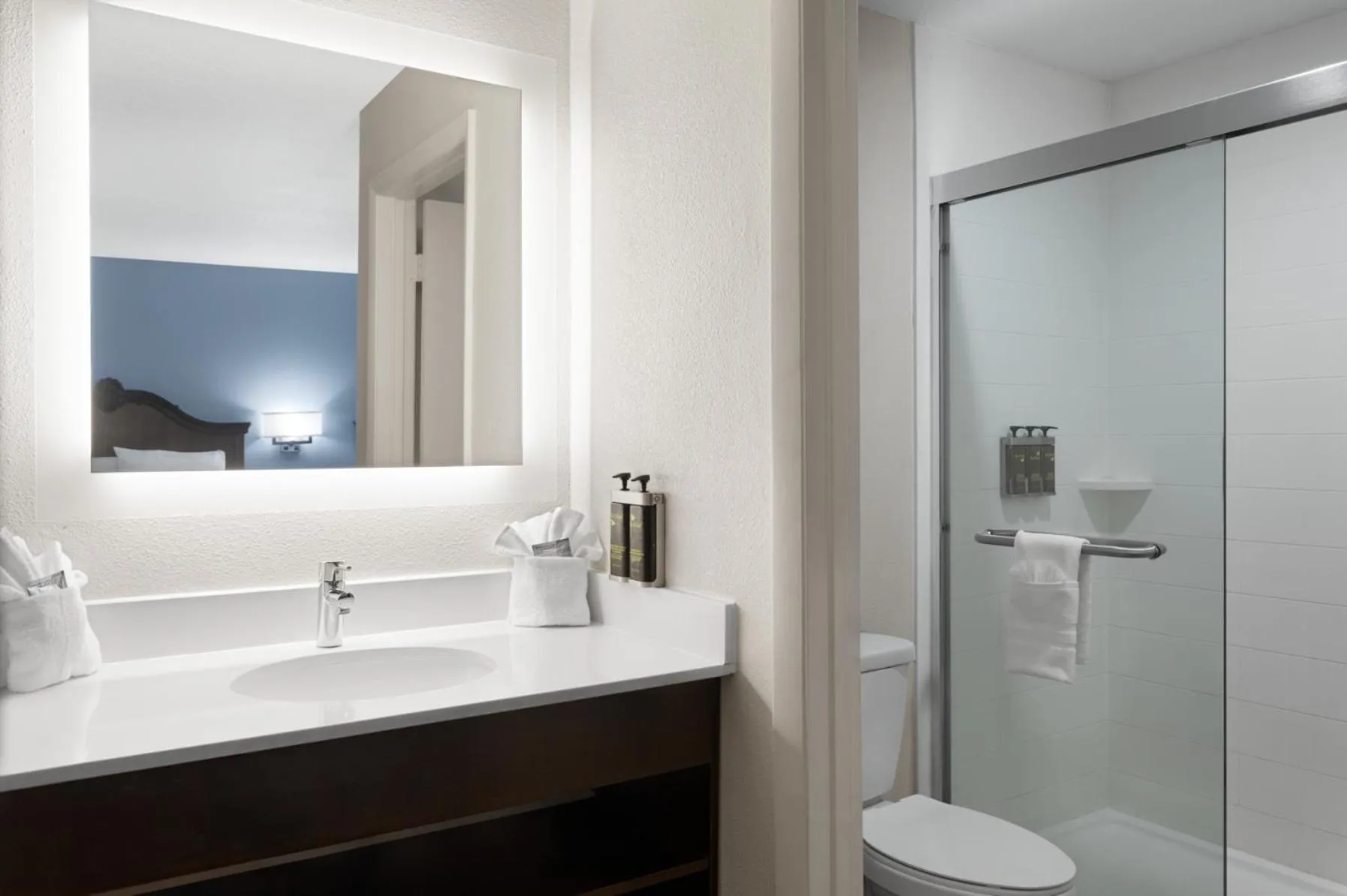 Bathroom in Hotel South Tampa & Suites