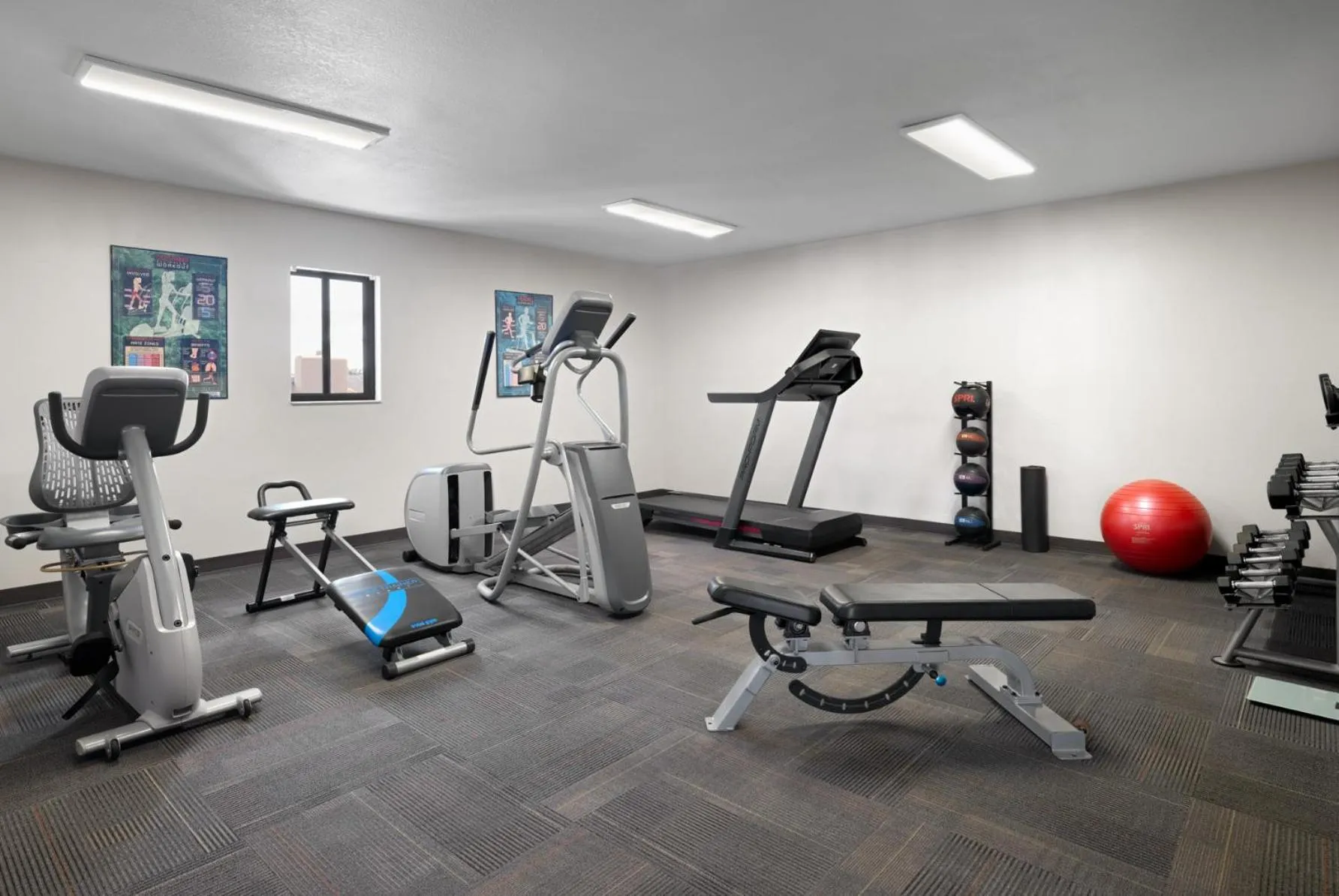 Fitness centre/facilities in Hotel South Tampa & Suites