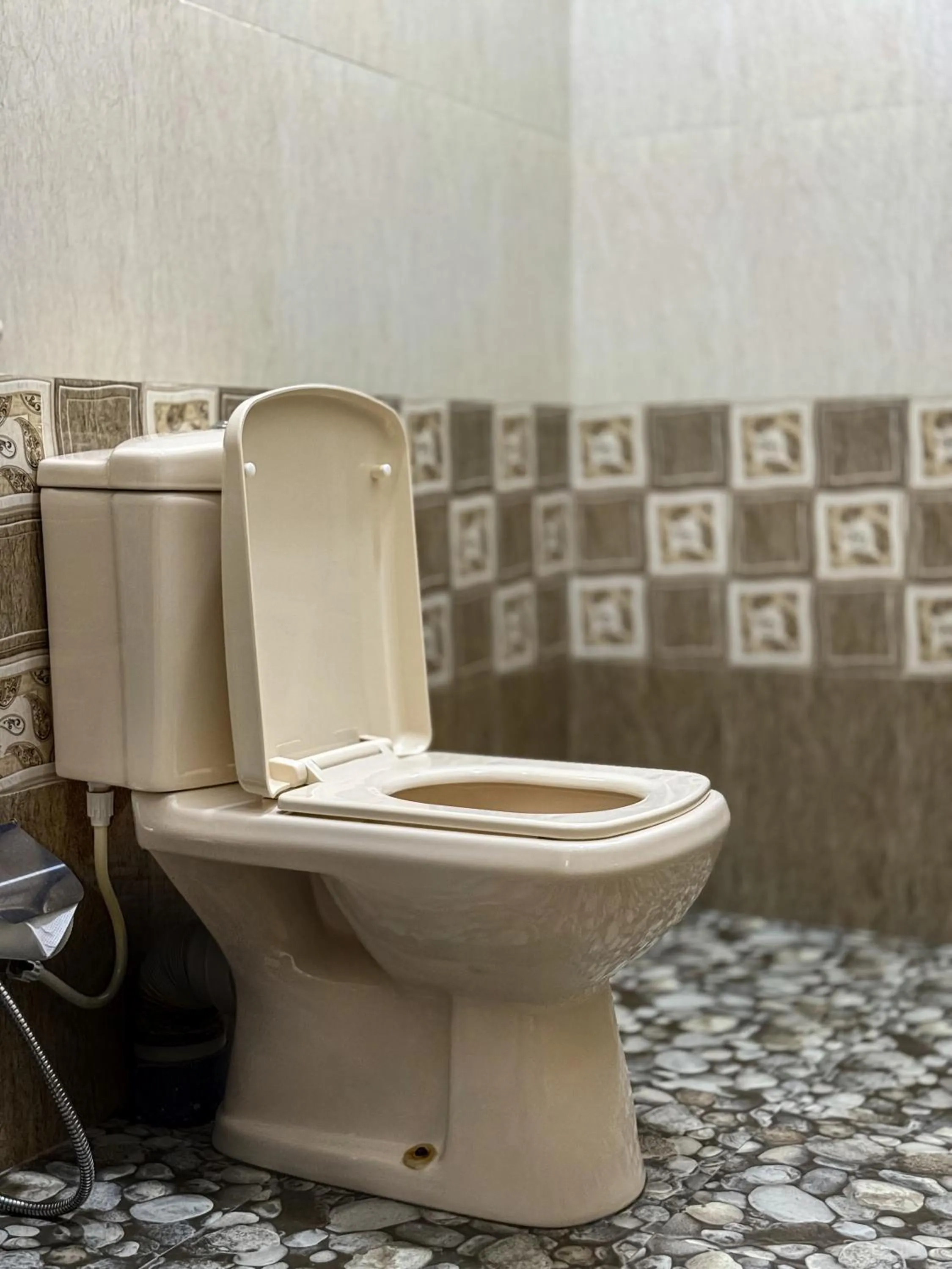 Toilet in Nehansa Resort and safari