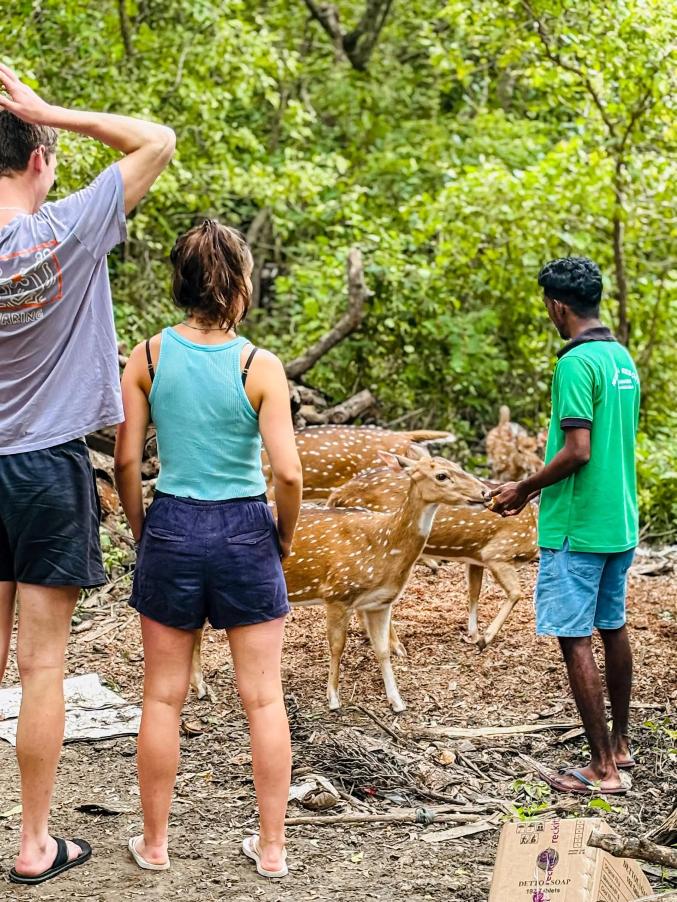 Natural landscape in Nehansa Resort and safari